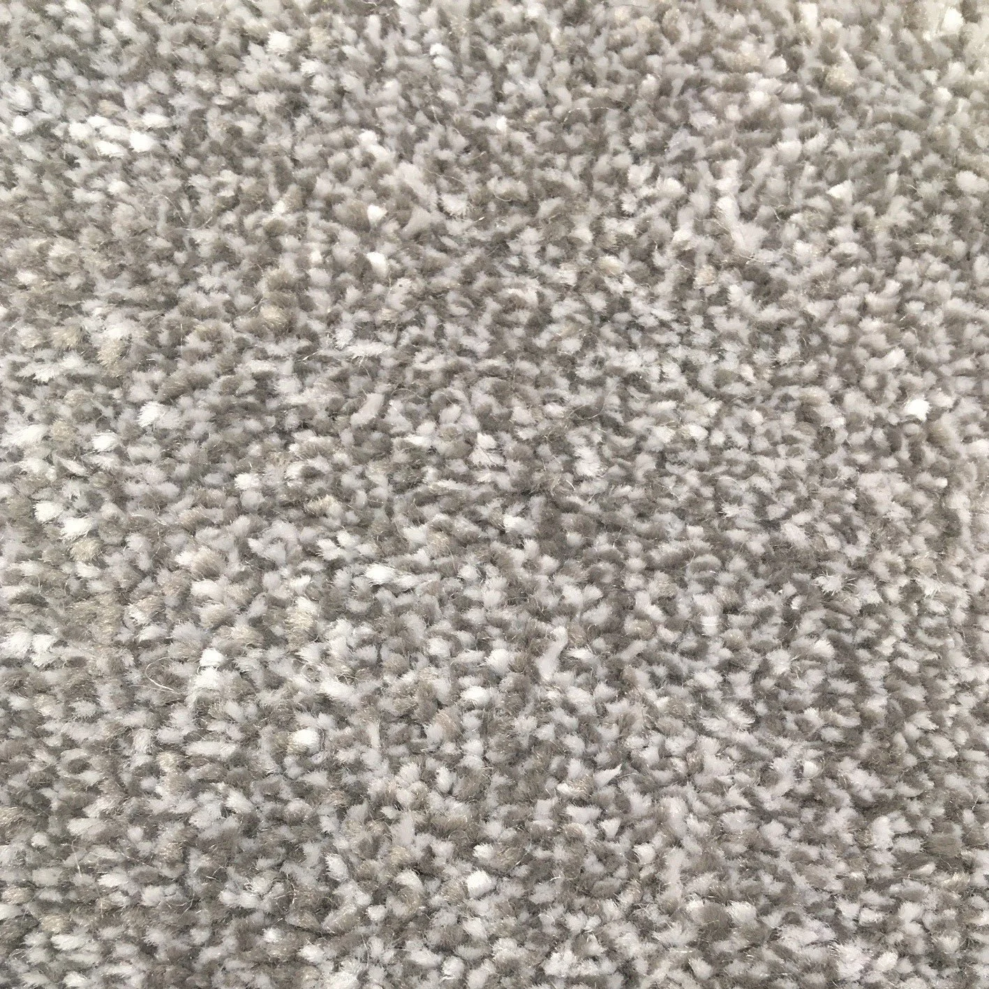 Pewter.jpg