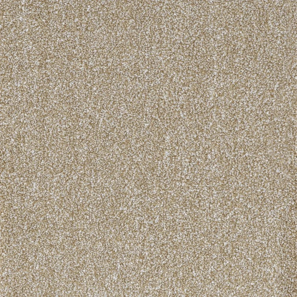 Forest Sand.jpg