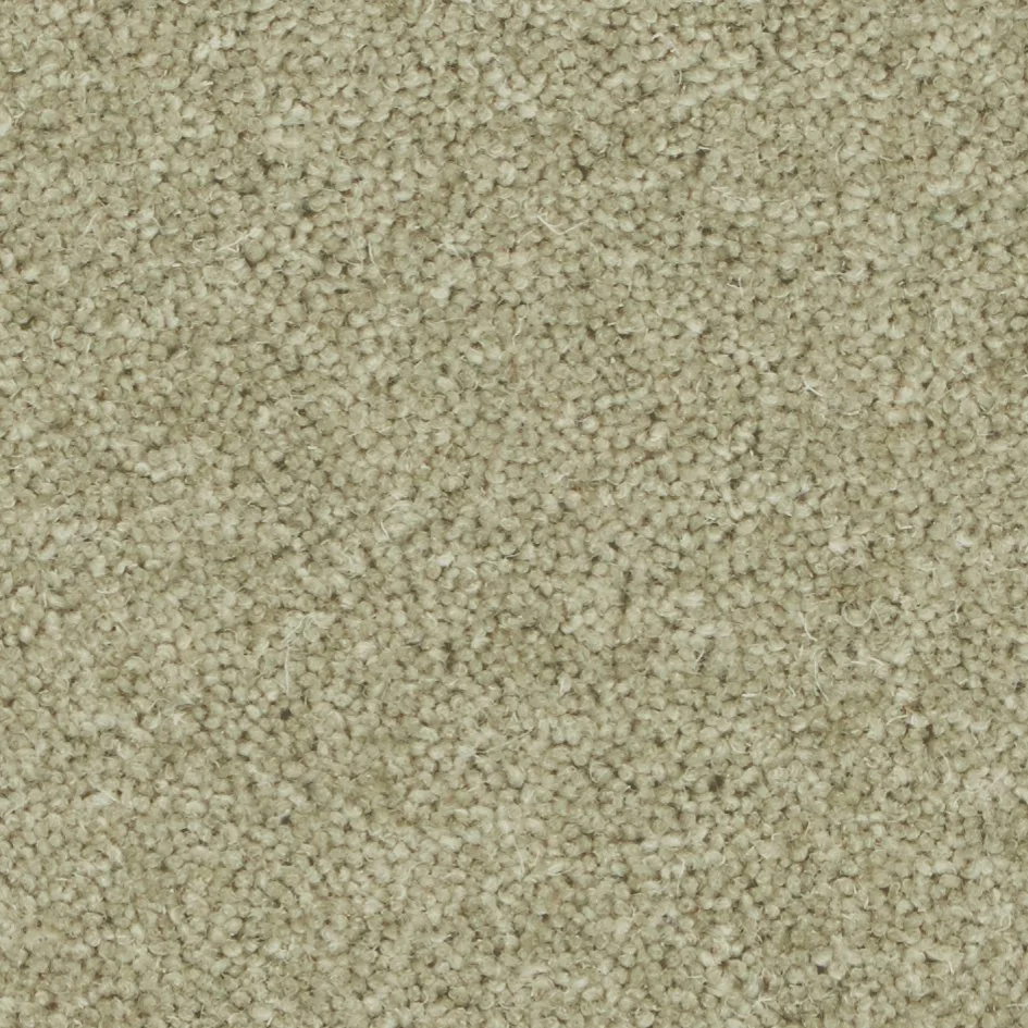 chervil.jpg