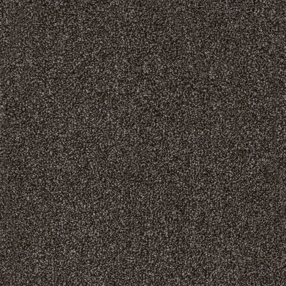 Dark Forest.jpg