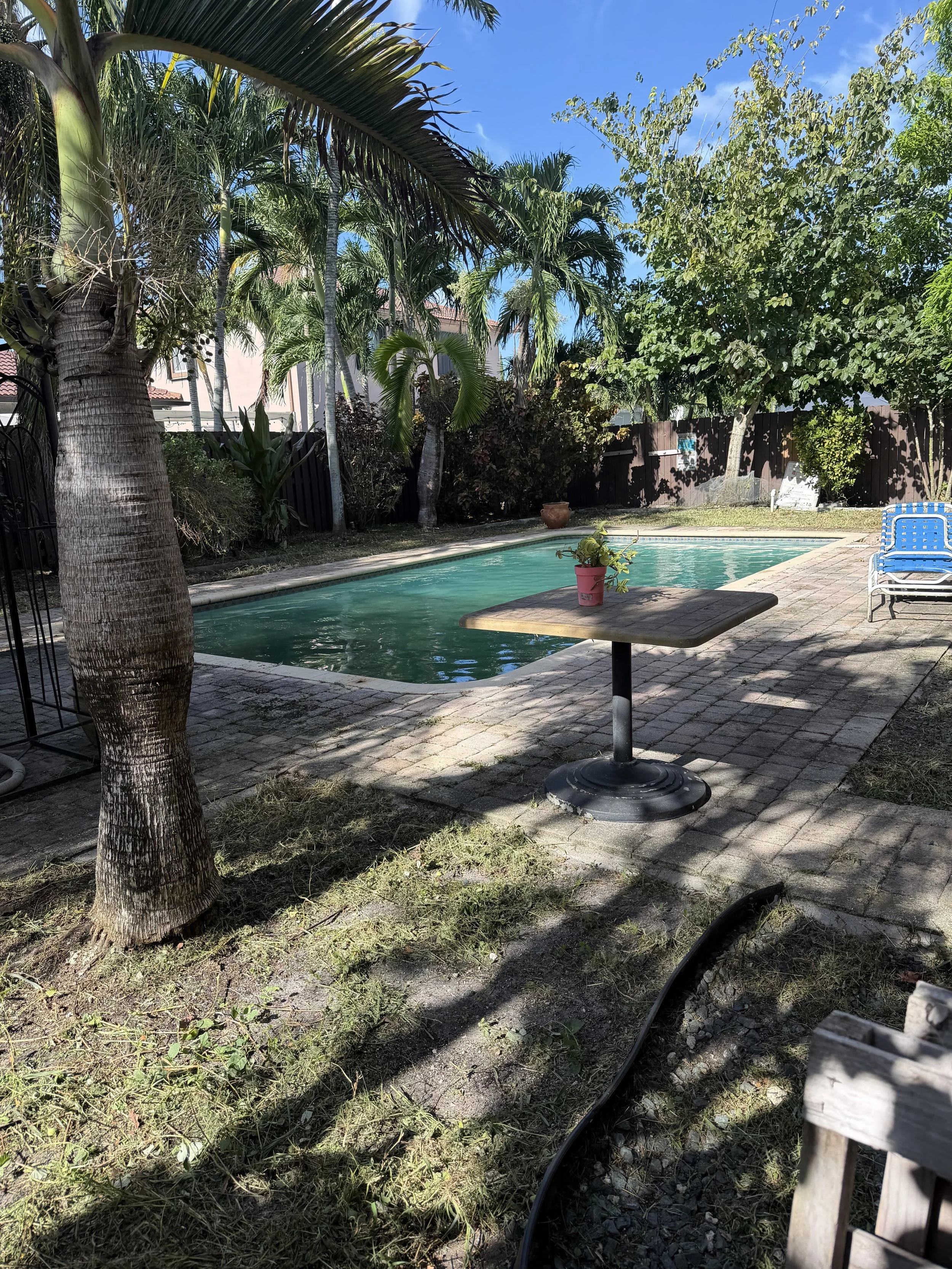 IMG_2327.jpeg