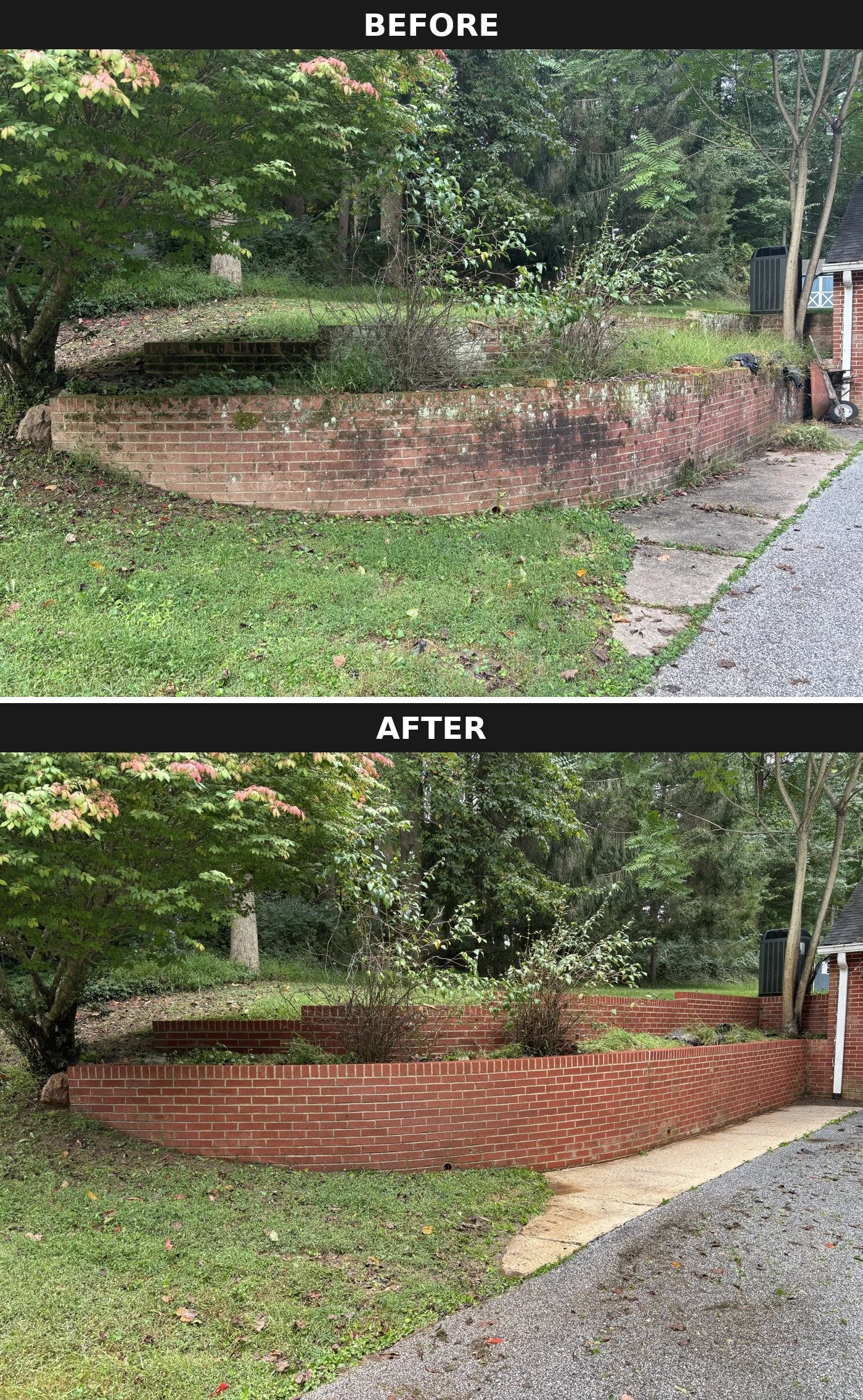 pressure washing near me 4.jpeg