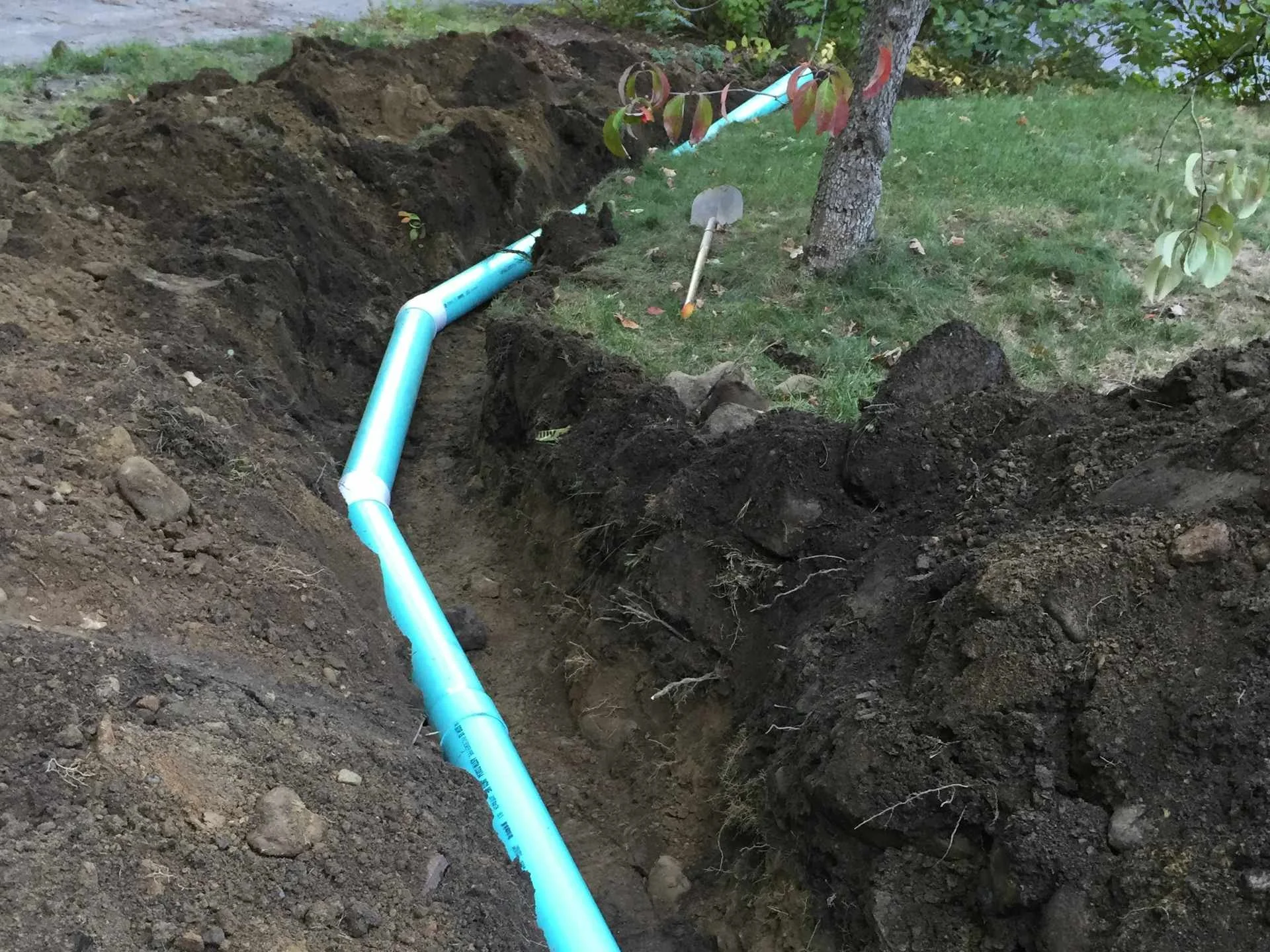 A trench dug in the ground with a blue PVC pipe installed inside, a shovel resting next to a tree, and a string with red and green leaves tied to the tree branch.