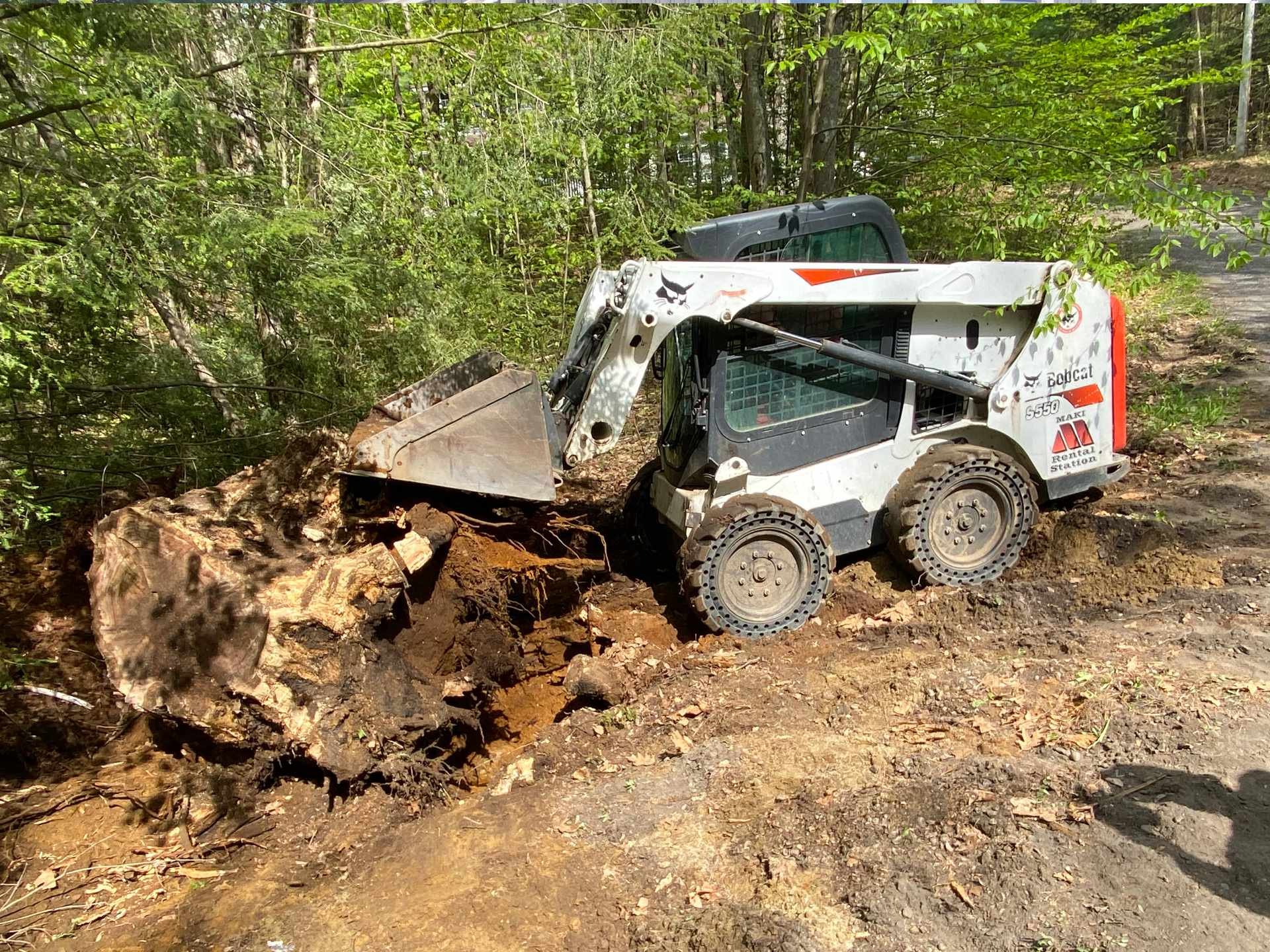 A skid steer loader is seen lifting a large fallen tree trunk in a wooded area surrounded by green foliage and muddy ground.