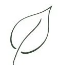 Natural approach