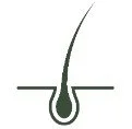 Hair regeneration