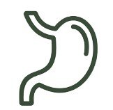Gut health and digestive support