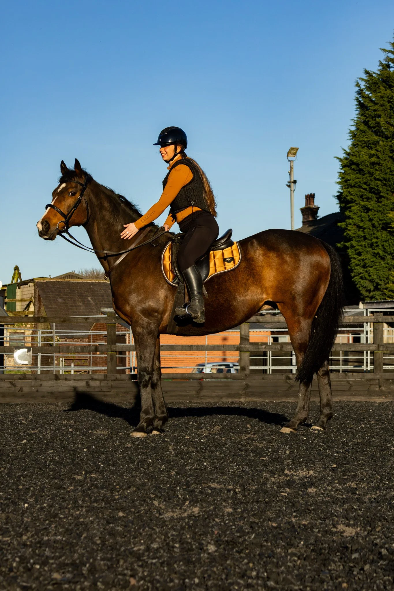 A woman in riding gear sits on a brown horse in an outdoor riding arena during daylight, with houses, trees, and a street lamp in the background.