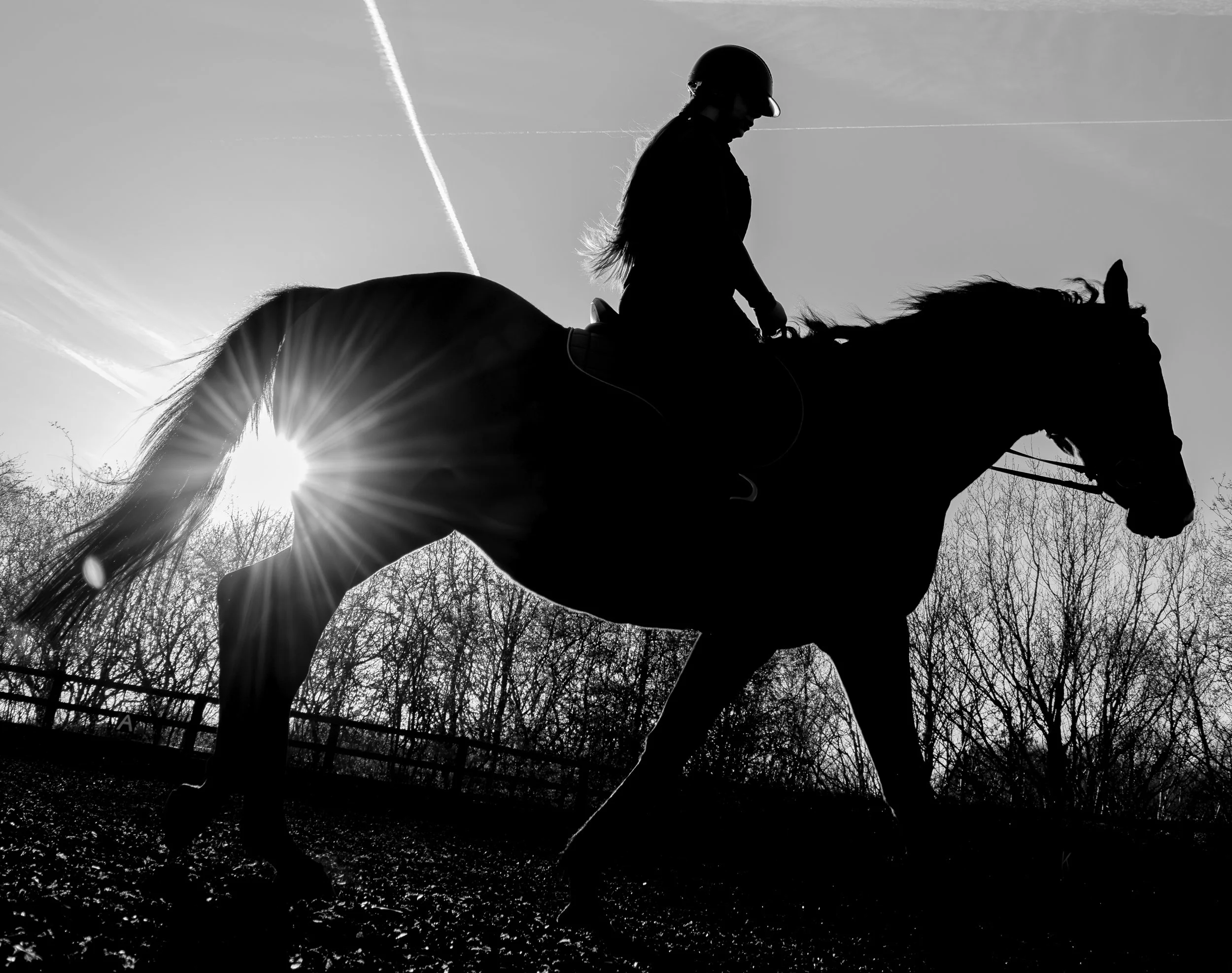 Equestrian Lifestyle