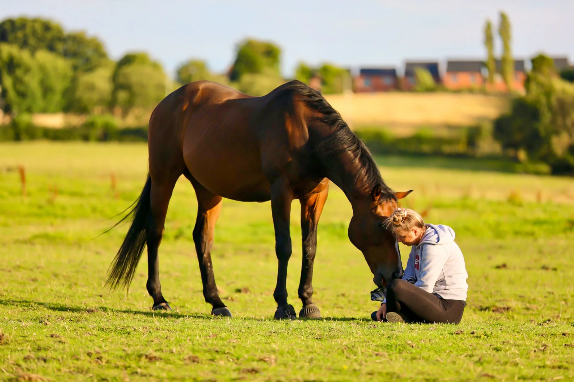 A person sitting on the grass outdoors, petting a brown horse with a dark mane, on a sunny day with a background of trees and houses.