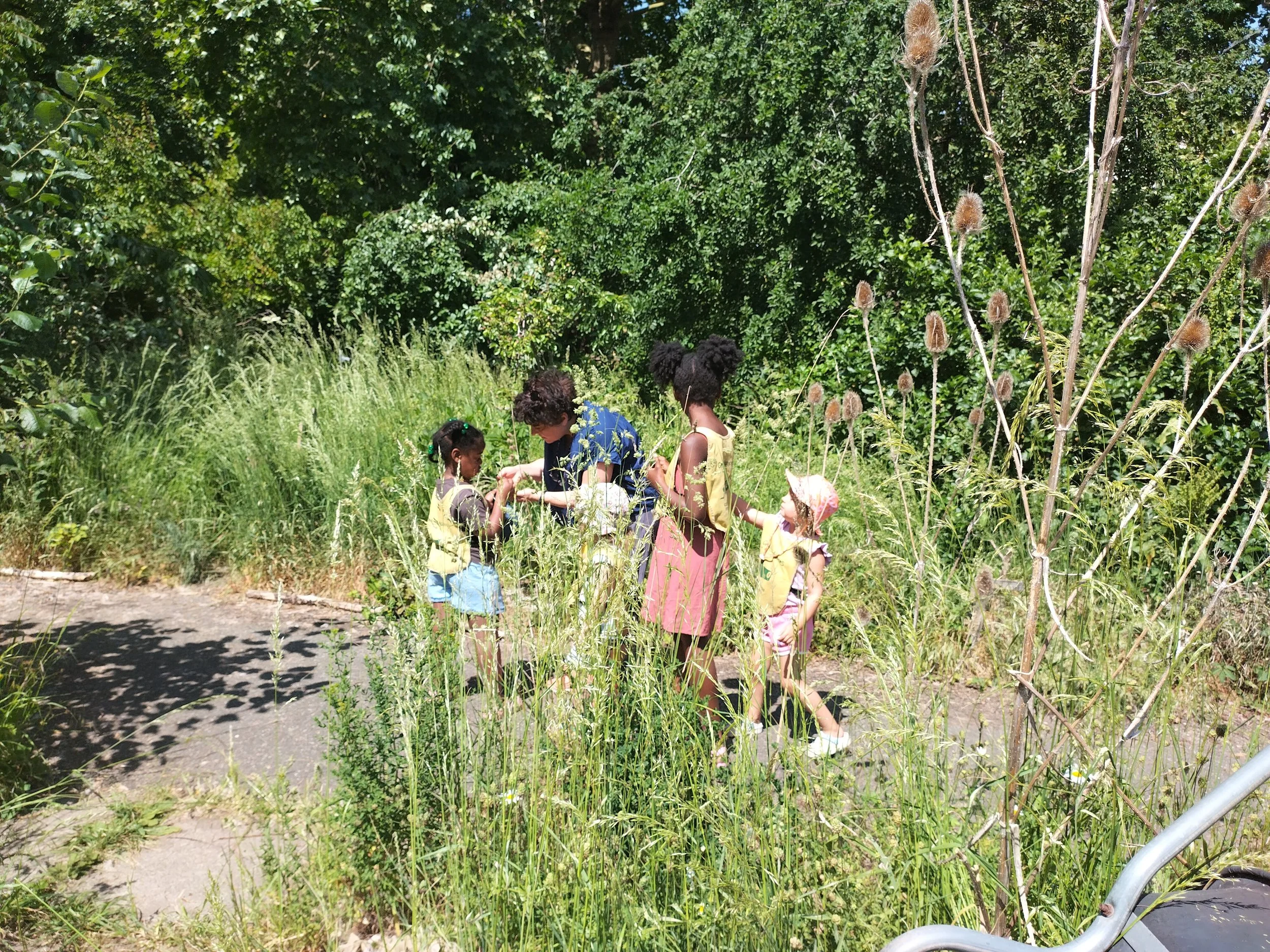 IMG_20260527_120405.jpg
