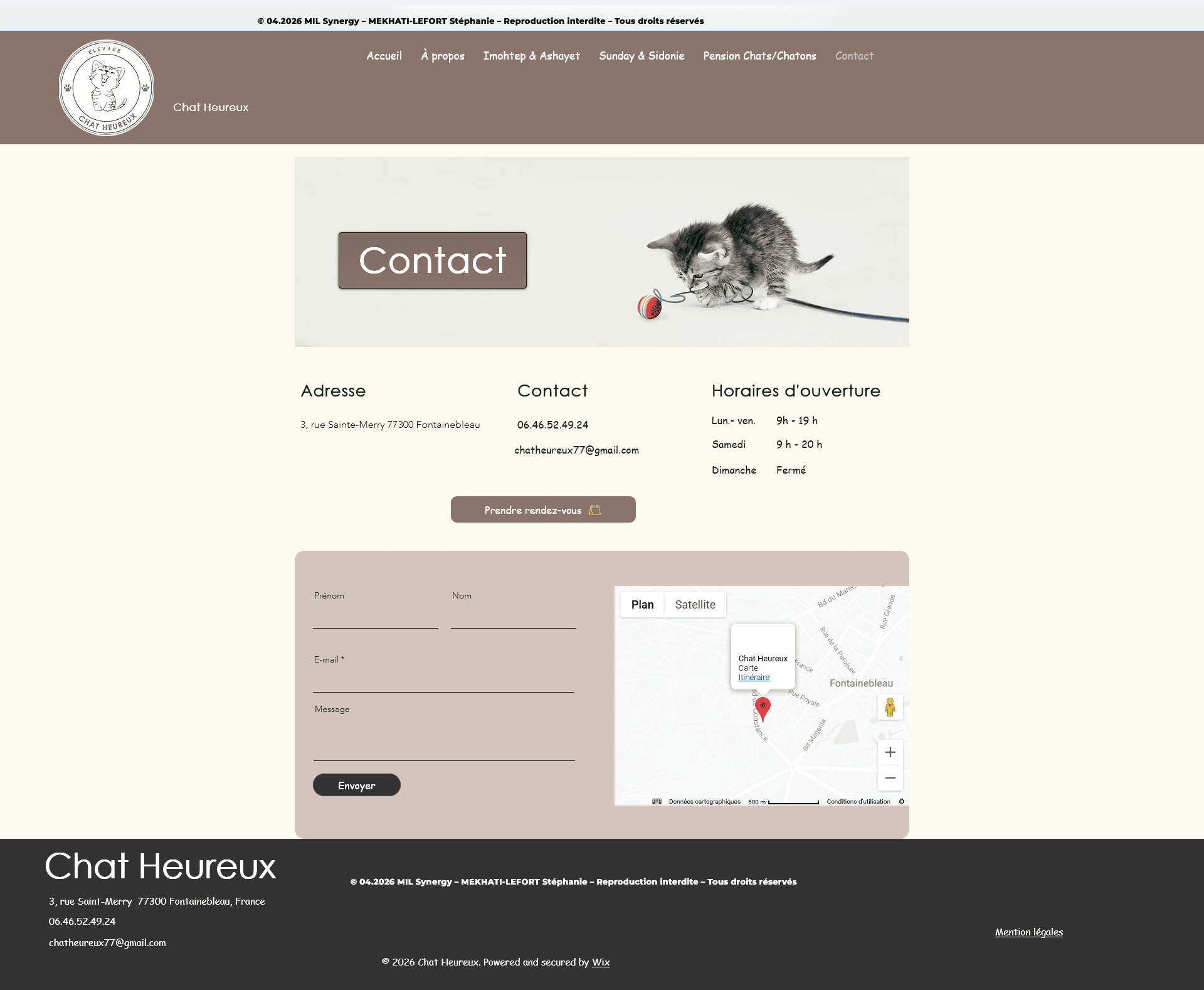 Page contact site élevage, en haut un chaton qui joue. Il y'a les coordonnées, une localisation et un formulaire. Faite par Stéphanie MEKHATI-LEFORT, dirigeante de MIL Synergy, Copywritrice certifiée.