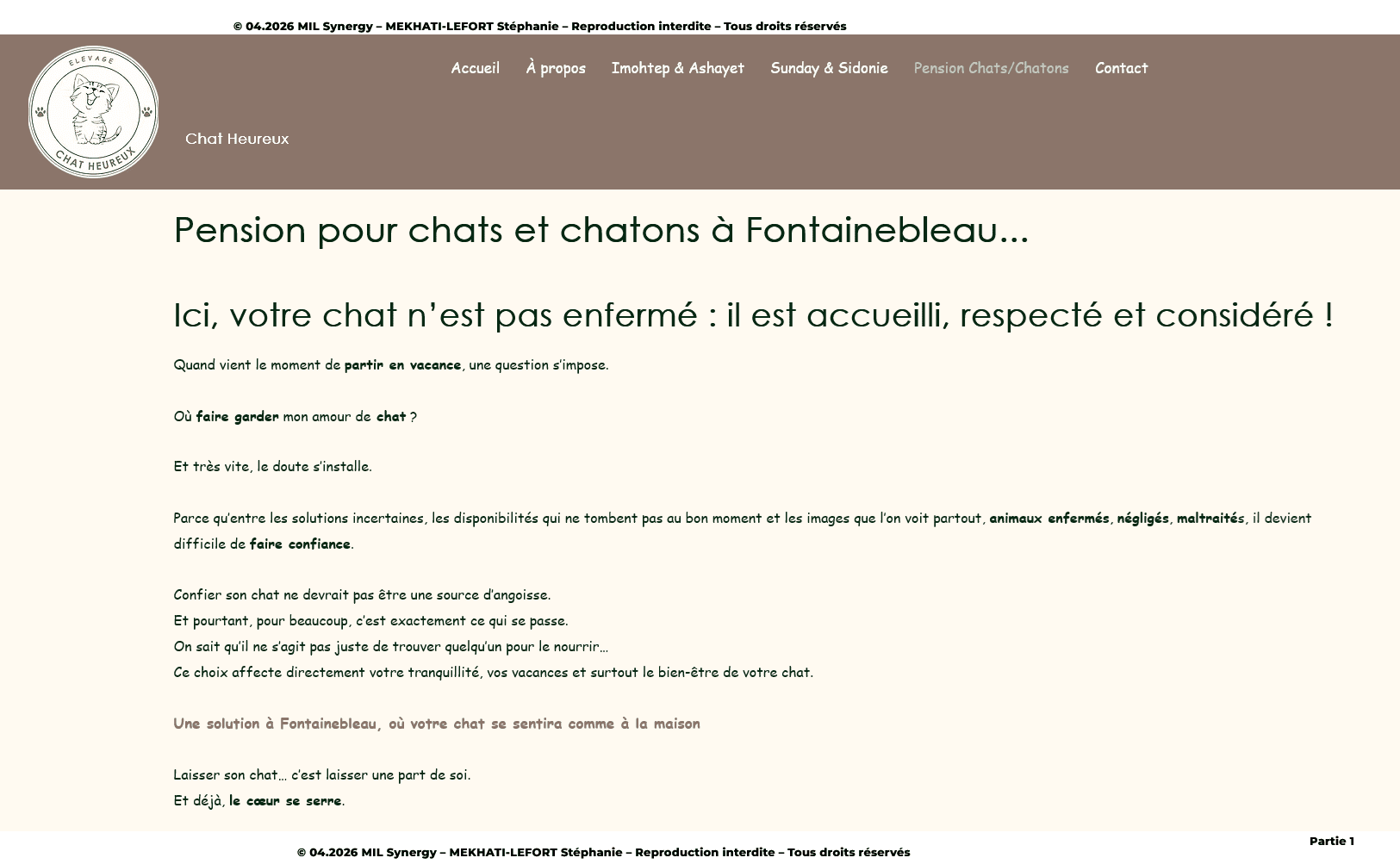 Page de vente pension Chats/Chatons 1ère partie, Structure Hn et SEO local. Faite par Stéphanie MEKHATI-LEFORT, dirigeante de MIL Synergy, Copywritrice certifiée.