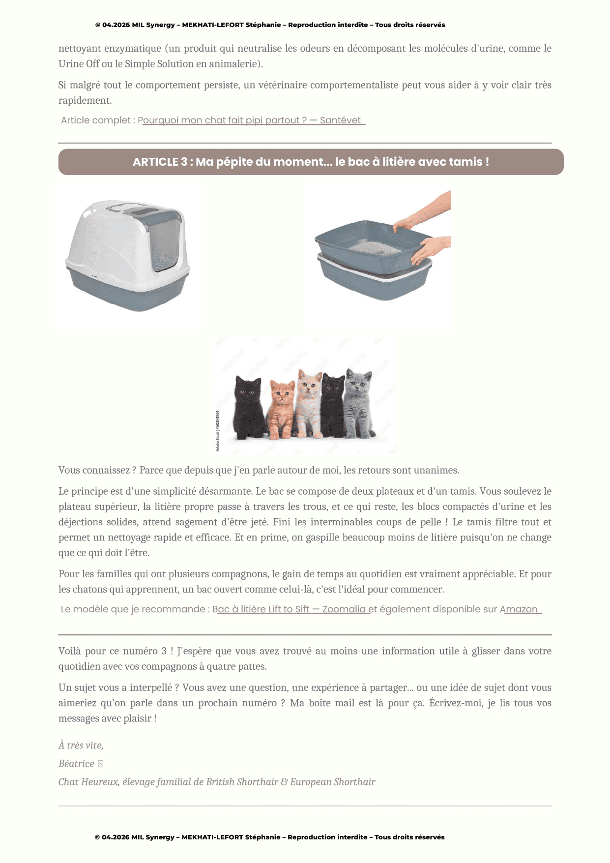 Portfolio : Newsletter, chats. Dernière page, avec le dernier article lié à un équipe innonvant pour chats et chatons.. Faite par Stéphanie MEKHATI-LEFORT, dirigeante de MIL Synergy, Copywritrice certifiée.