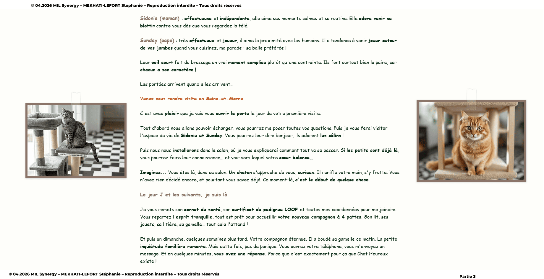 Troisième partie page de vente N° 2. On décrit les parents des chatons, et on explique comment cela va se passer. Faite par Stéphanie MEKHATI-LEFORT, dirigeante de MIL Synergy, Copywritrice certifiée.
