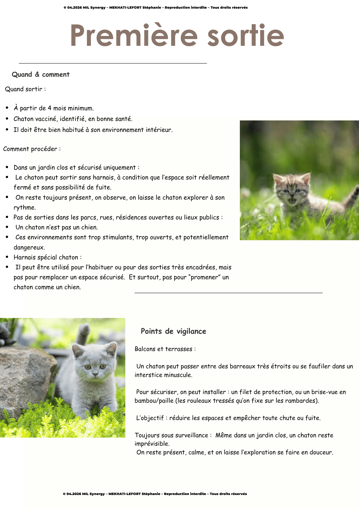 Portfolio Lead Magnet, 5ème page, titre première sortie, Quand & comment mais aussi les points de vigilence, deux photos de chatons dehors.  Fait par Stéphanie MEKHATI-LEFORT, dirigeante de MIL Synergy, Copywritrice certifiée.