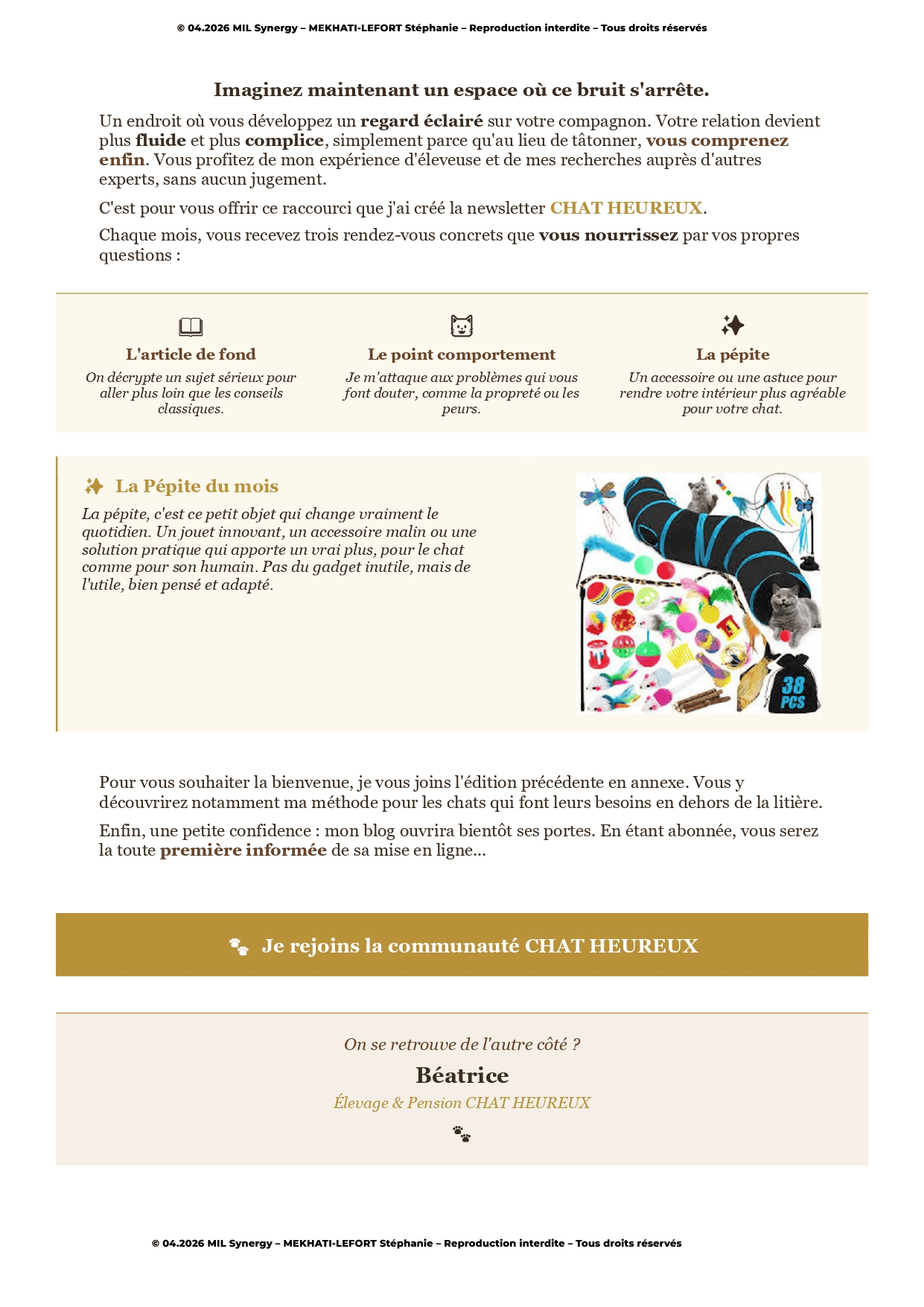 Portfolio animalier : Mailing d'invitation à s'inscrire à la Newsletter 2nde page présente la news letter, avec une image plus jouets, puis CTA final. Fait par Stéphanie MEKHATI-LEFORT, dirigeante de MIL Synergy, Copywritrice certifiée.