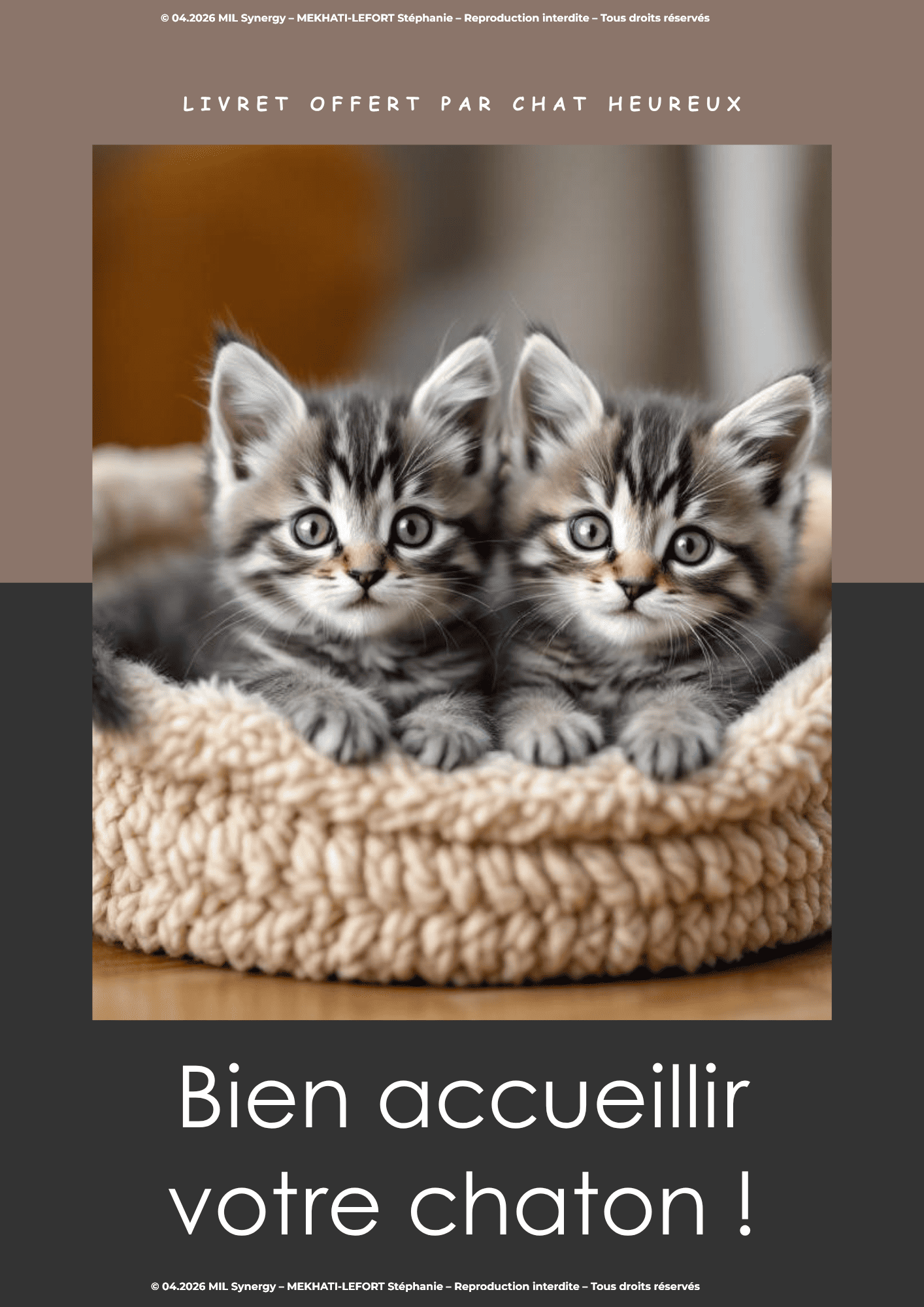 Portfolio Lead Magnet, première page avec une belle photo et le titre. Fait par Stéphanie MEKHATI-LEFORT, dirigeante de MIL Synergy, Copywritrice certifiée.