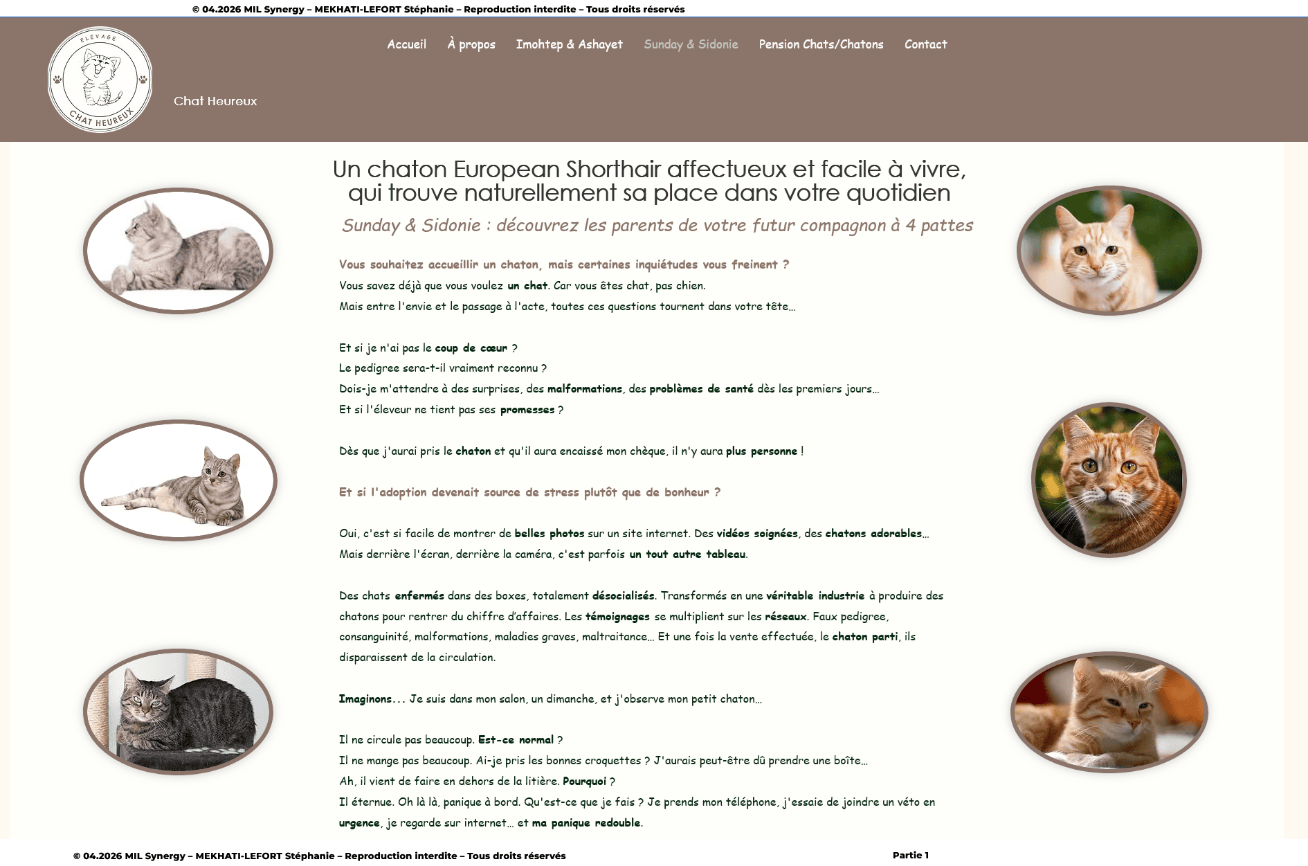 Page de vente n°2. Première partie, des photos de chats de chaque coté, elle parle des questions qu'on se pose et nous projette. Faite par Stéphanie MEKHATI-LEFORT, dirigeante de MIL Synergy, Copywritrice certifiée.