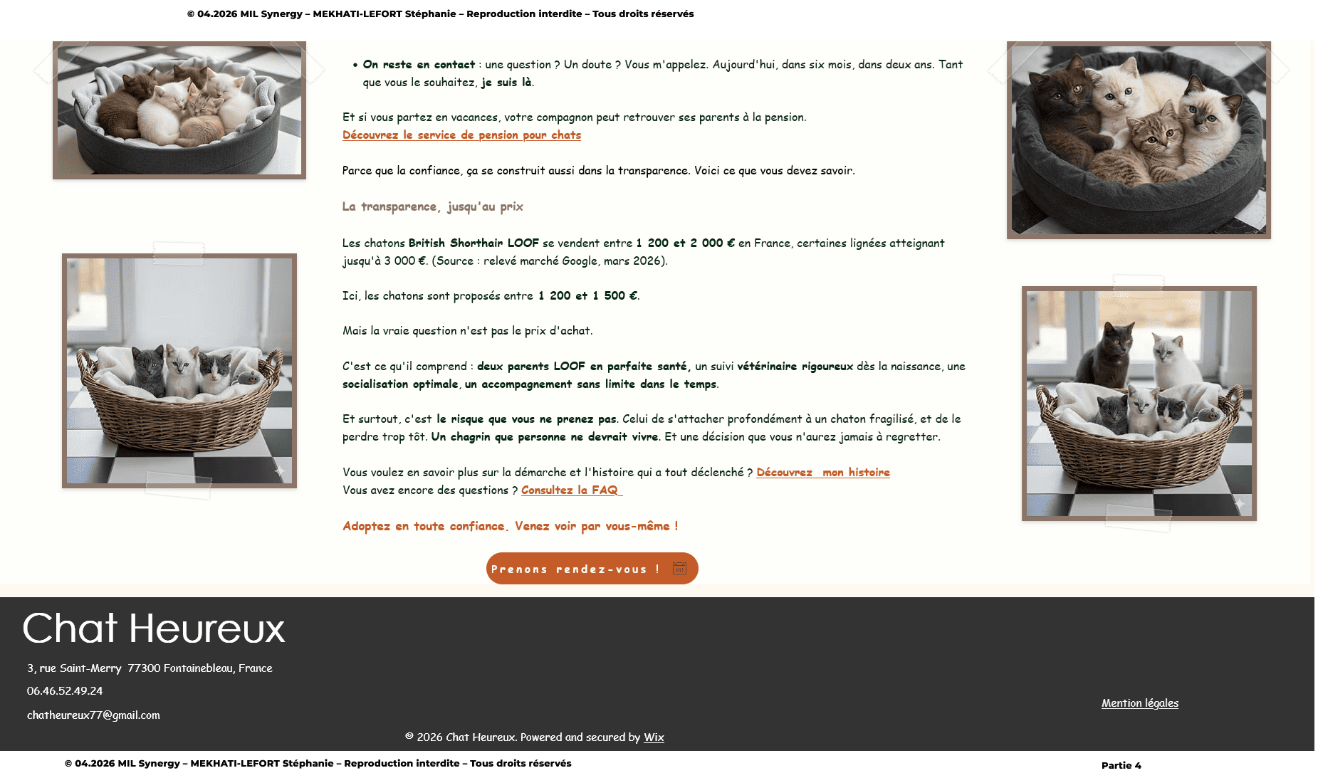 Portfolio : Dernière partie de la page de vente, là on voit les derniers chatons. Et on a les tarifs puis invitation à venir. Faite par Stéphanie MEKHATI-LEFORT, dirigeante de MIL Synergy, Copywritrice certifiée.