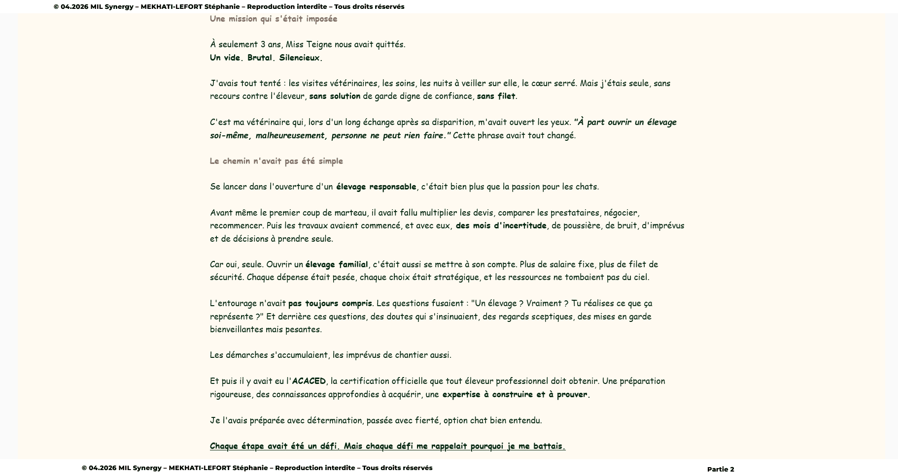 Portfolio, la seconde partie de la page à propos, là nous sommes au coeur de l'histoire. Faite par Stéphanie MEKHATI-LEFORT, dirigeante de MIL Synergy, Copywritrice certifiée.