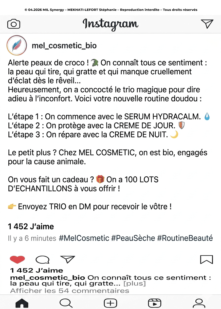Portfolio : Post Instagram. Par Stéphanie MEKHATI-LEFORT, dirigeante de MIL Synergy, Copywritrice certifiée.