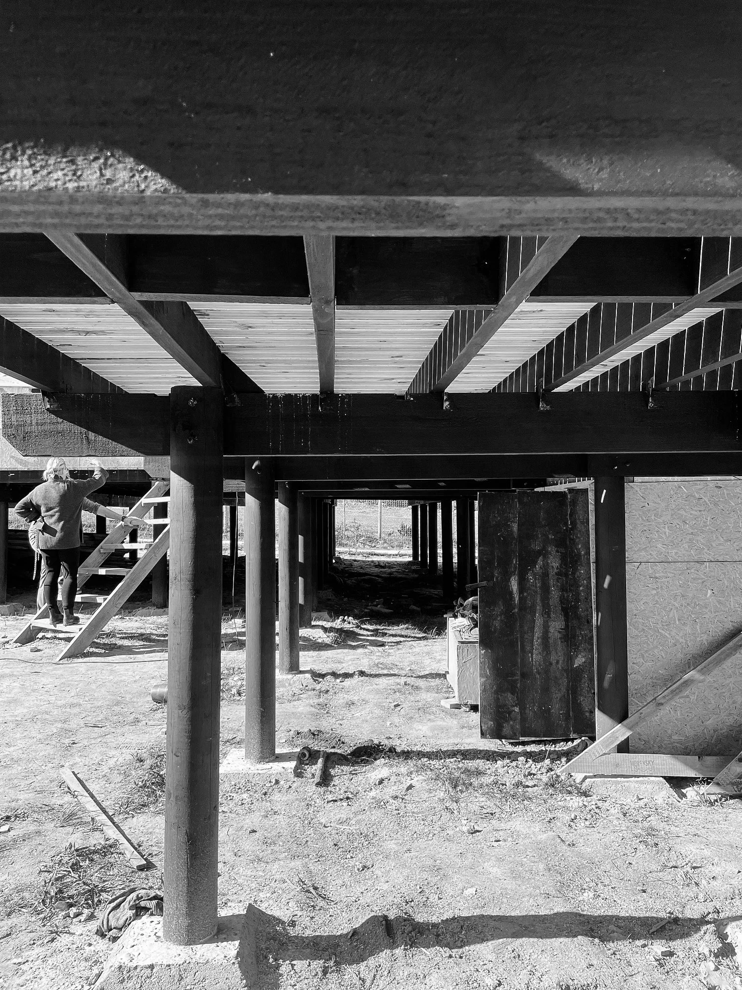 Timber Home 7.jpg