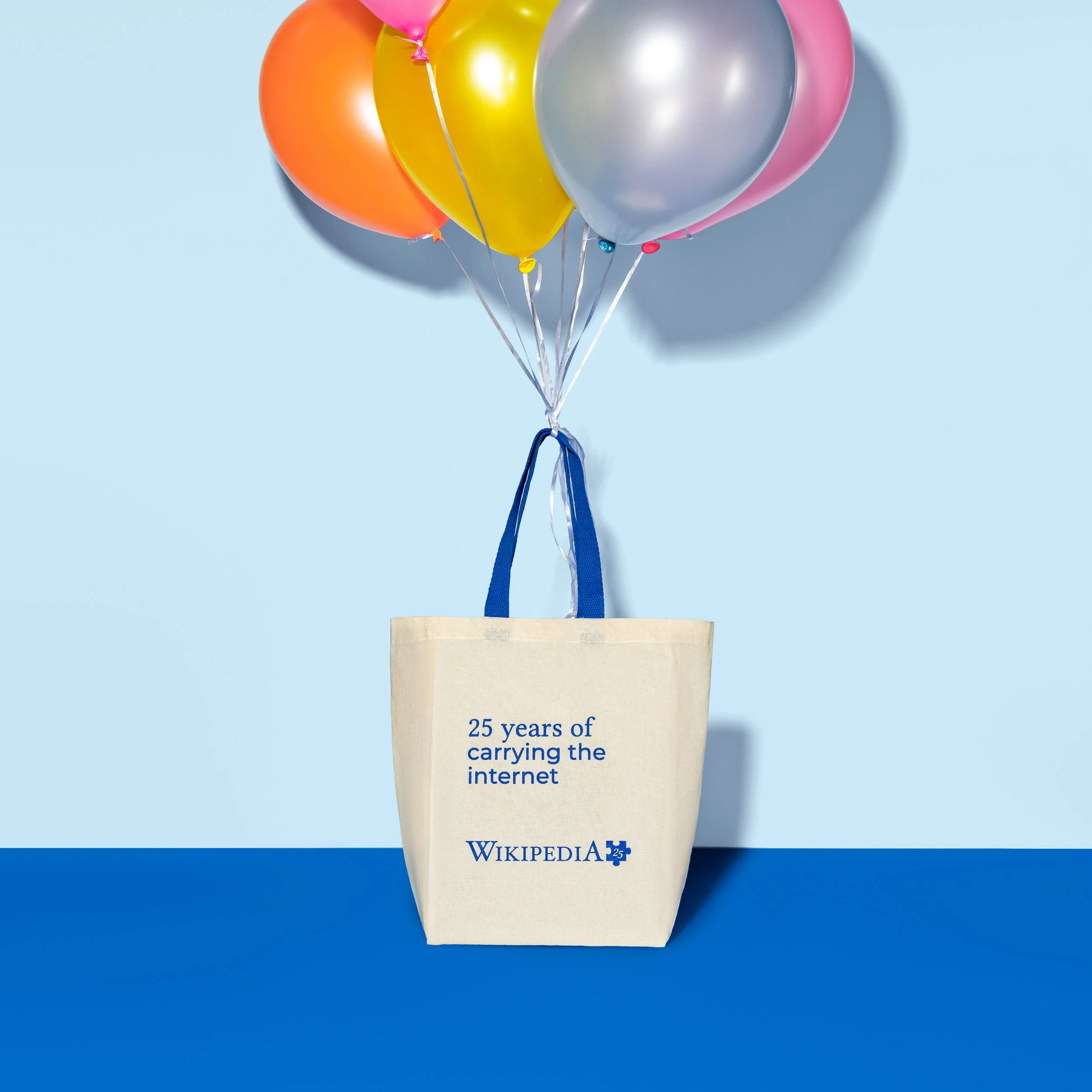 WP25_Tote_0155-1.jpg