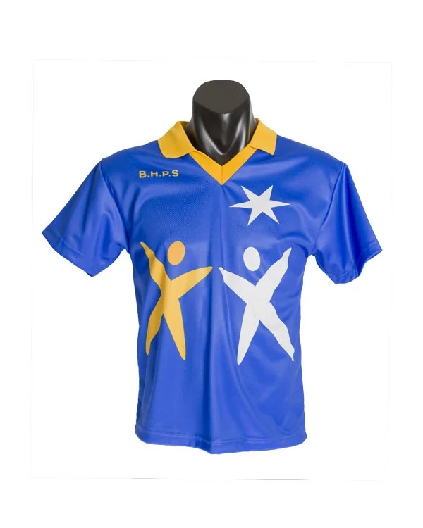 Sports V-Neck  Collar Jersey