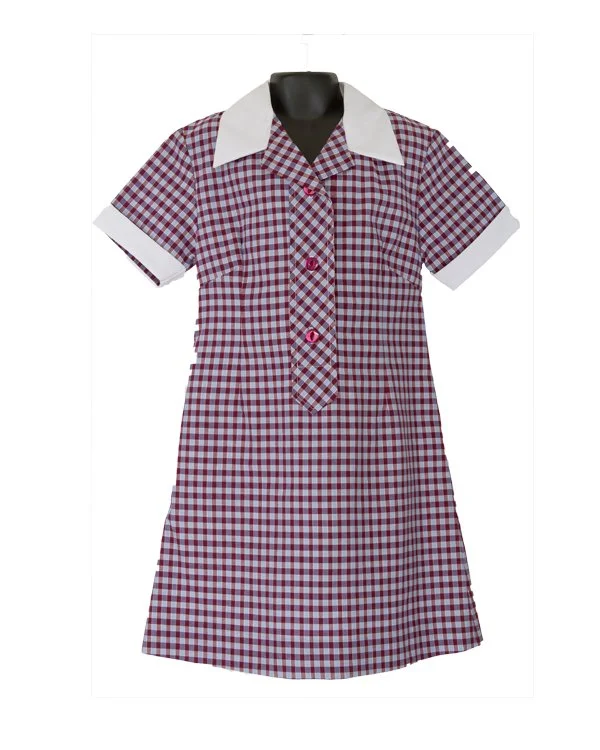 Girls' Classic Checkered School Dress