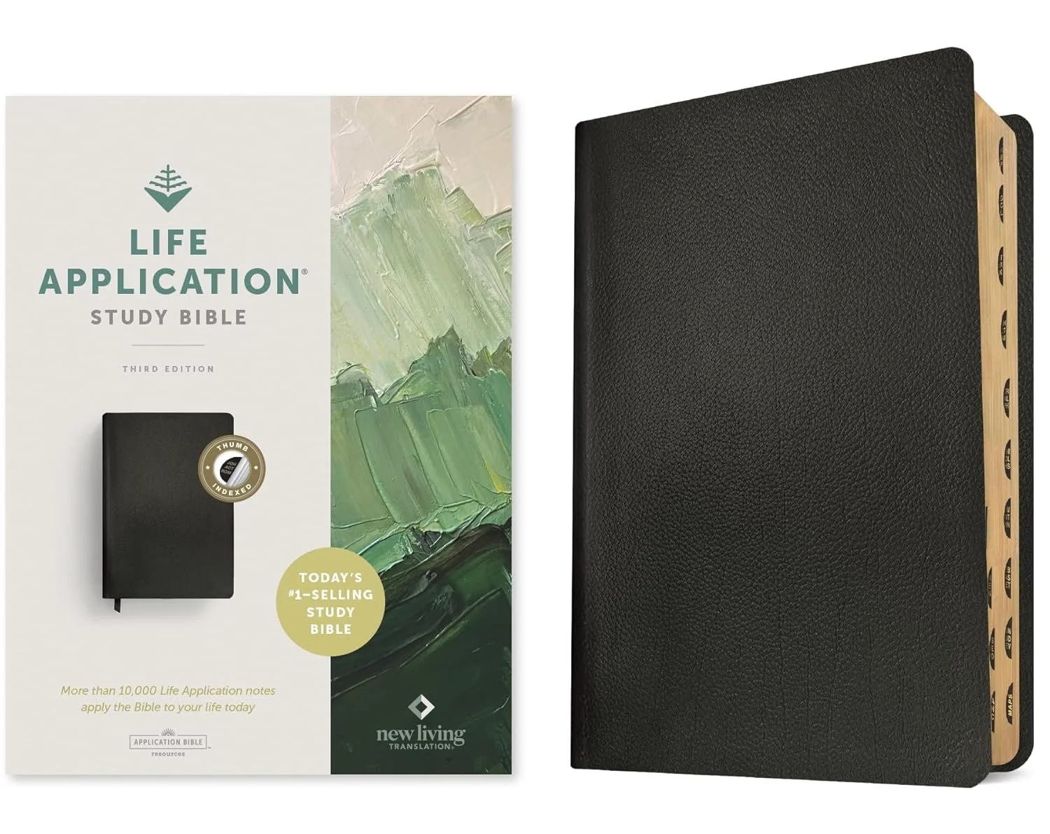 NLT Life Application Study Bible- (Easy reading for retention and application)
