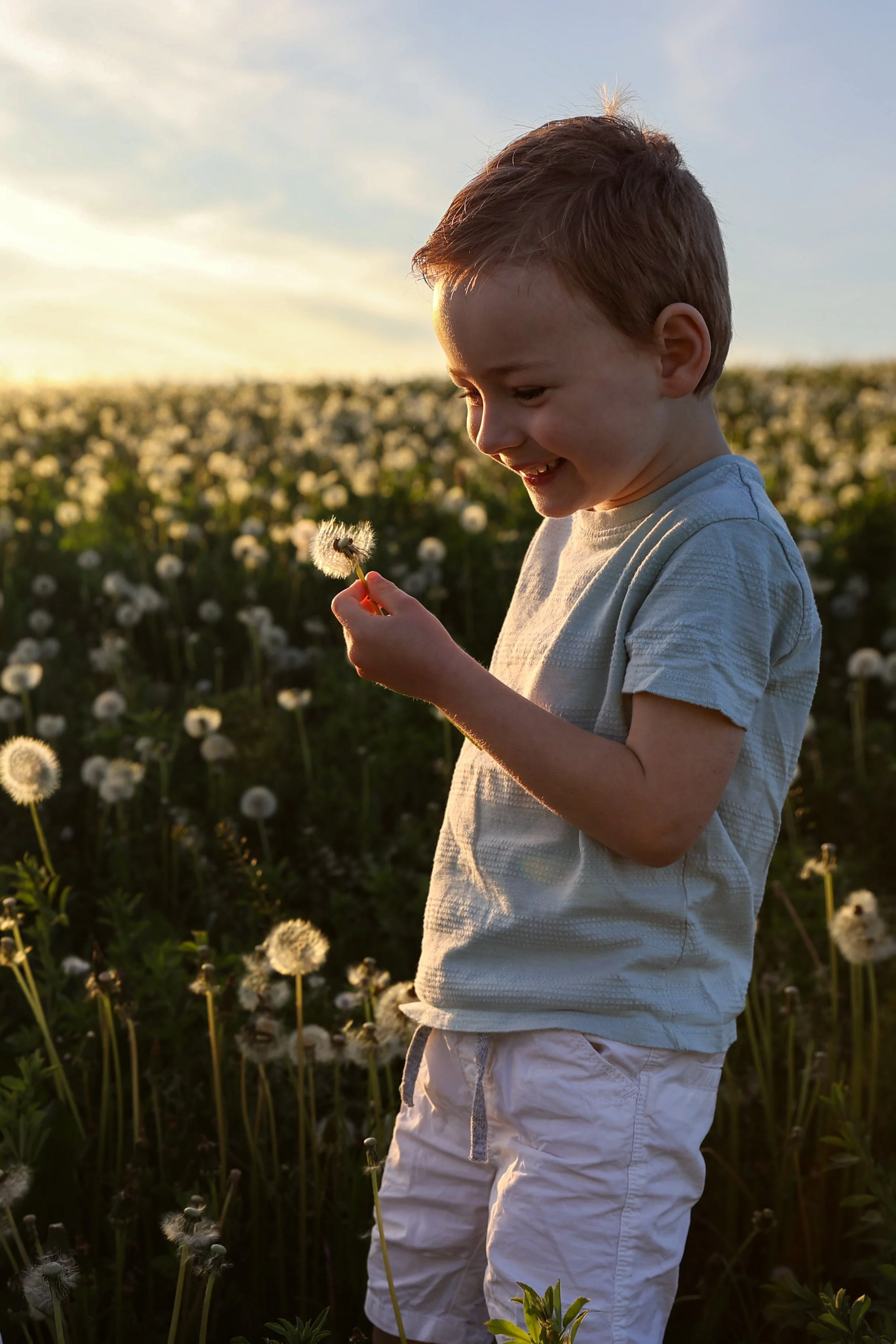 un jeune garçon en tenue décontractée, regardant un pissenlit dans un champ lors du coucher de soleil.