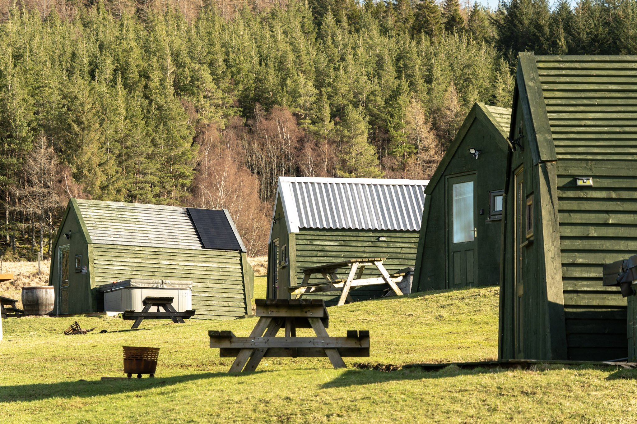 Small green wooden cabins with sloped roofs in a grassy yard, surrounded by trees and forest in the background.