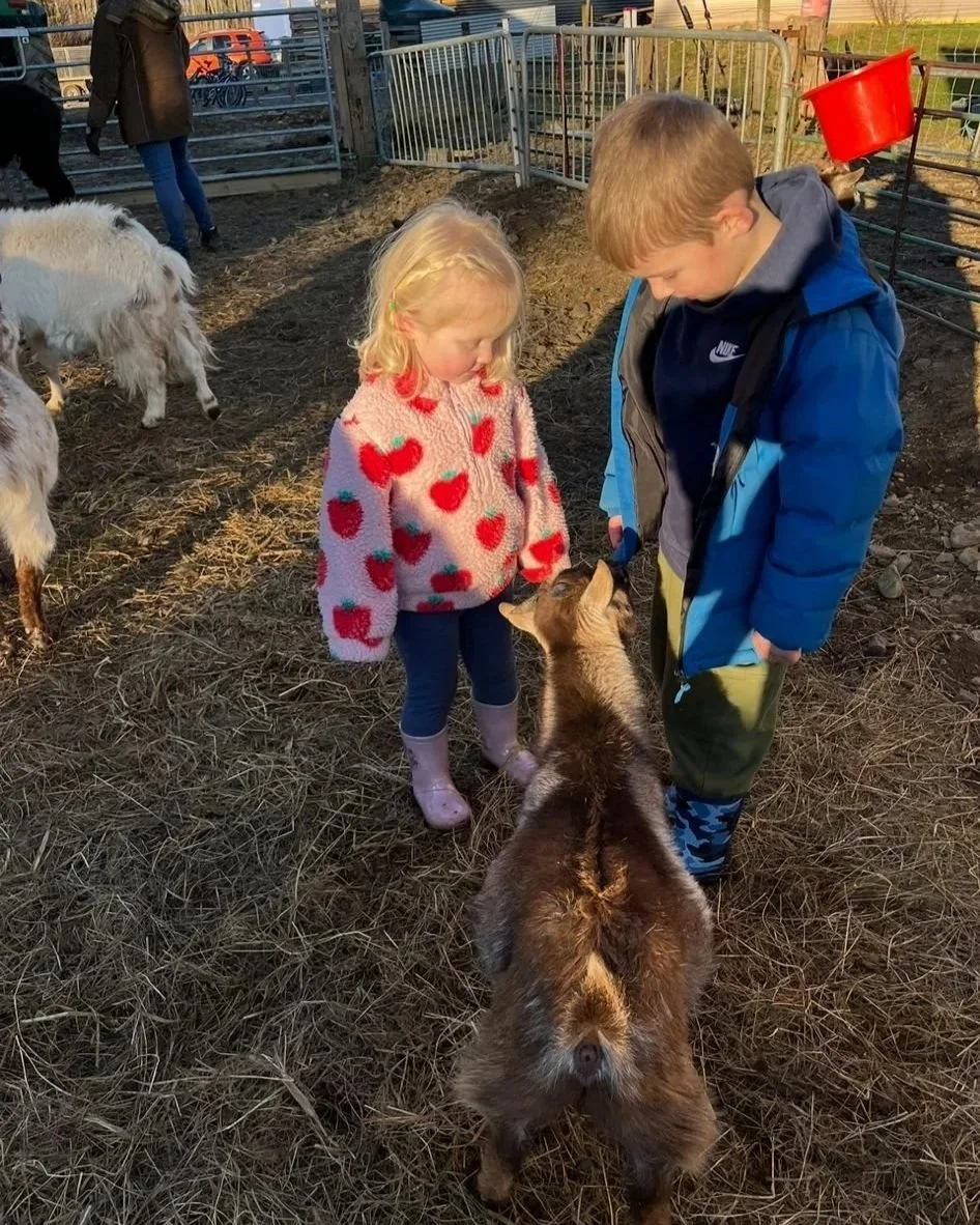 Two children, a girl and a boy, are petting a small piglet in a pen at a farm. The girl is wearing a pink sweater with red apples, and the boy is dressed in a blue jacket and camouflage pants. There are goats and other animals in the background.