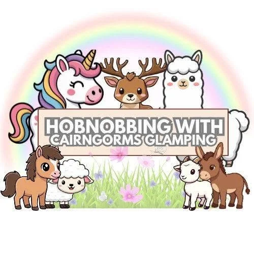 Cute cartoon farm animals and a unicorn standing behind a sign that reads 'Hobnobbing with CairnGorng Glamping,' with a rainbow and flowers in the background.