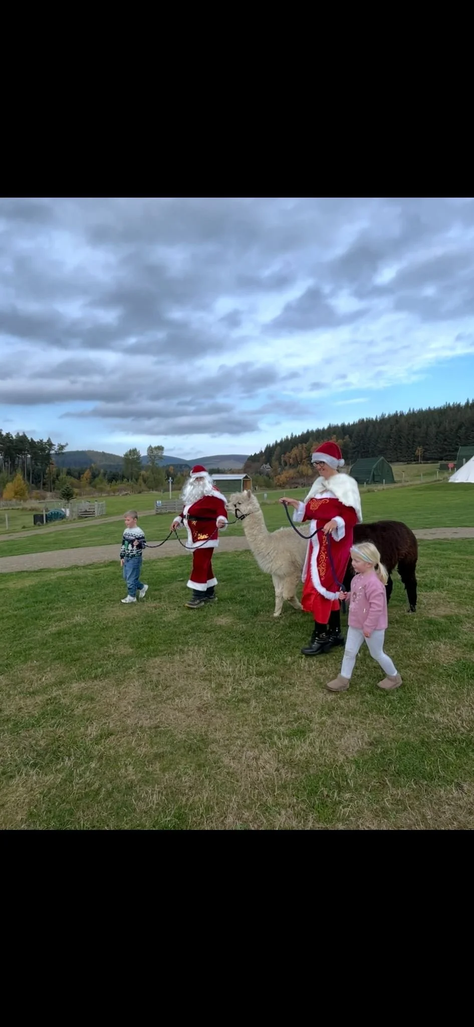 Children and adults dressed as Santa Claus and Mrs. Claus holding llamas in a grassy field with trees and mountains in the background, under a cloudy sky.