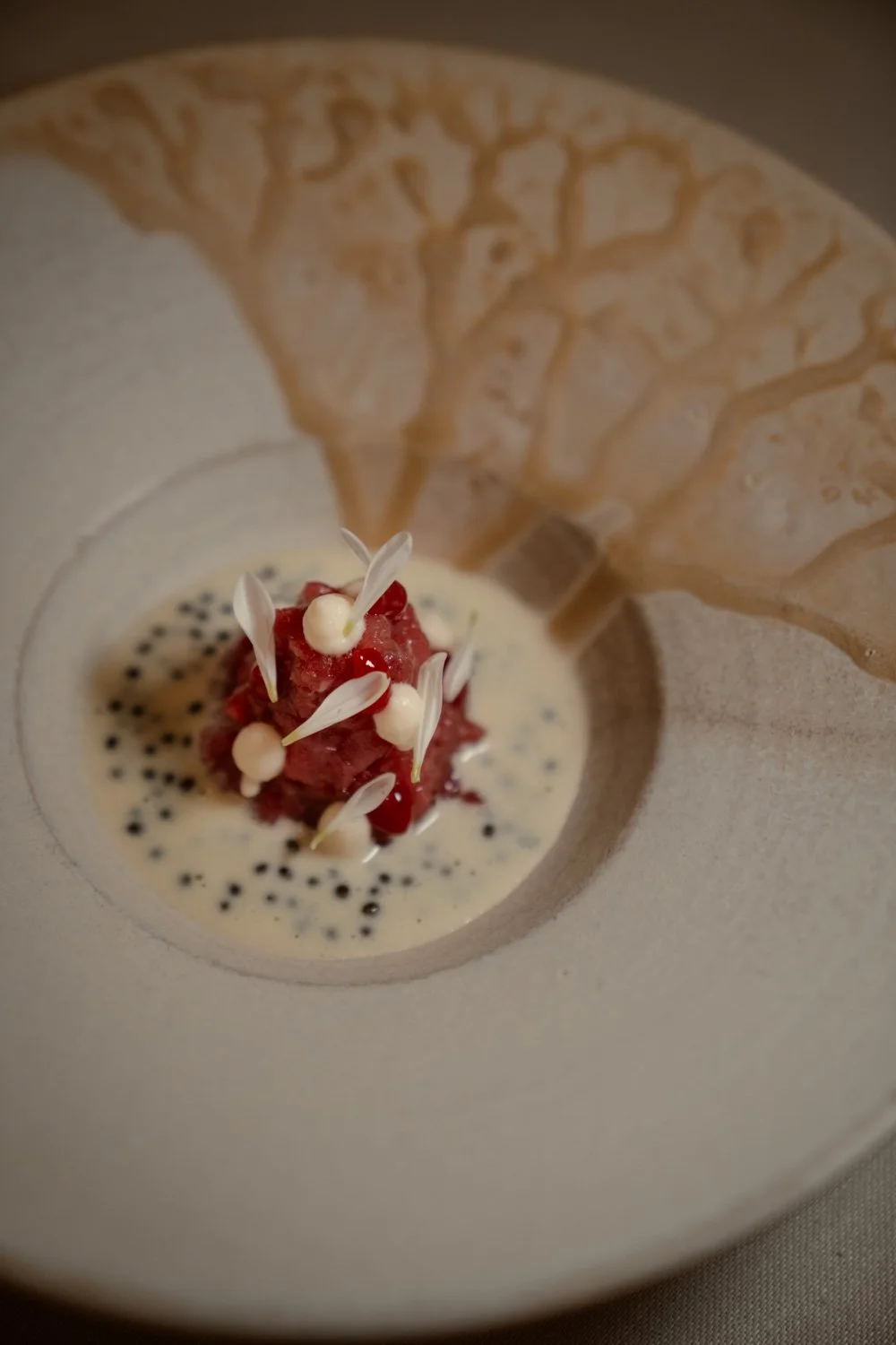 Ein kunstvoll angerichtetes Dessert mit rotem Fruchtpüree, weißen Dekorationen und schwarzen Popcorn auf einer cremigen Soße, serviert in einer weißen Schale mit einer getrockneten Blume als Dekoration.