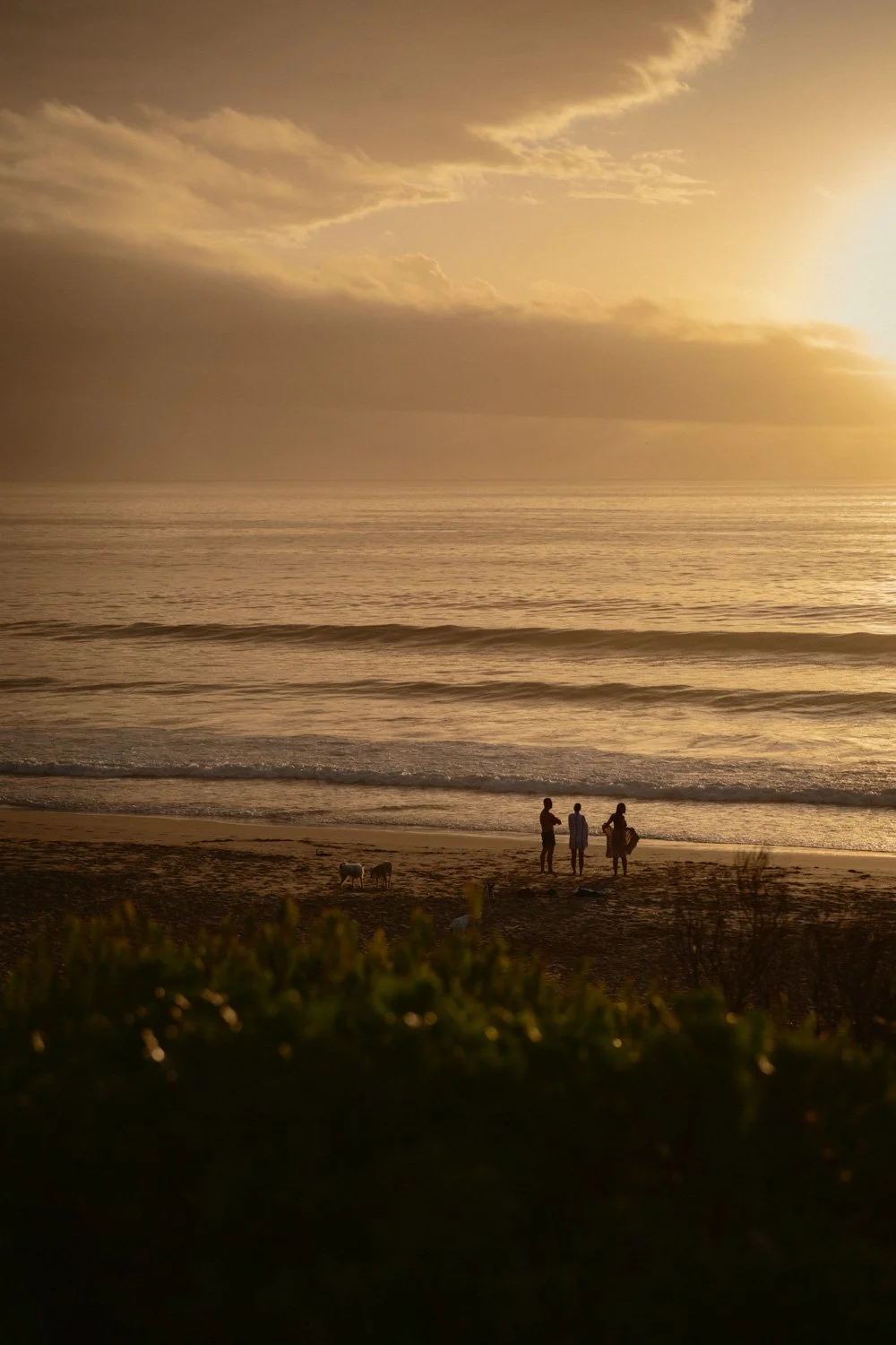 Sonnenuntergang am Strand mit drei Menschen und zwei Ziegen im Vordergrund, Meer und Wolken am Himmel im Hintergrund.