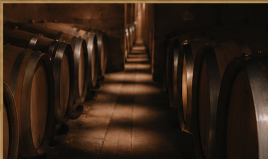 A wine cellar with wooden barrels stored along a narrow aisle.
