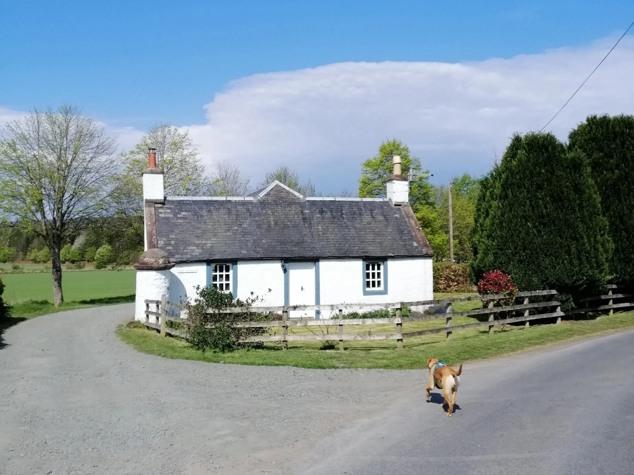 Picture-perfect white Scottish cottage with a garden — Erin's cottage dream