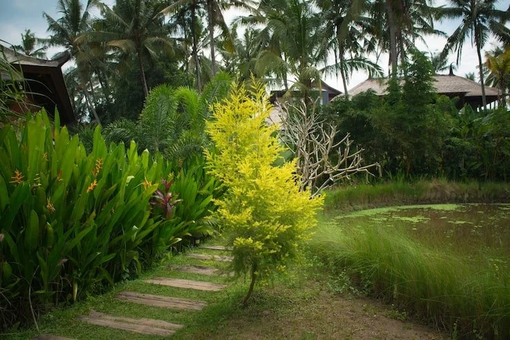 Why native plants matter