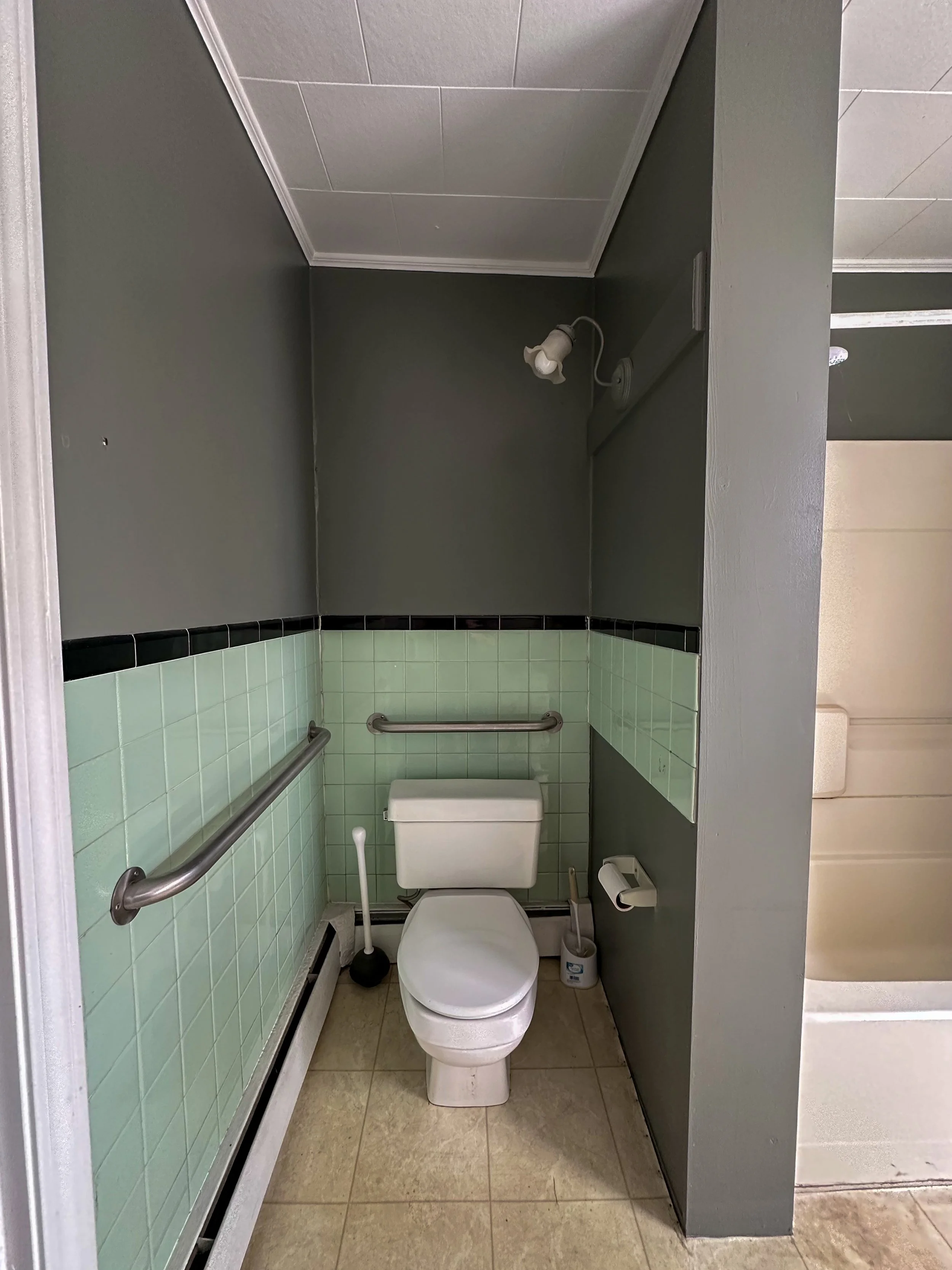 Small accessible bathroom with a toilet, green tiled wall, grab bar, and a wall-mounted lamp. There is a toilet paper holder on the wall and a plunger and toilet brush on the floor.