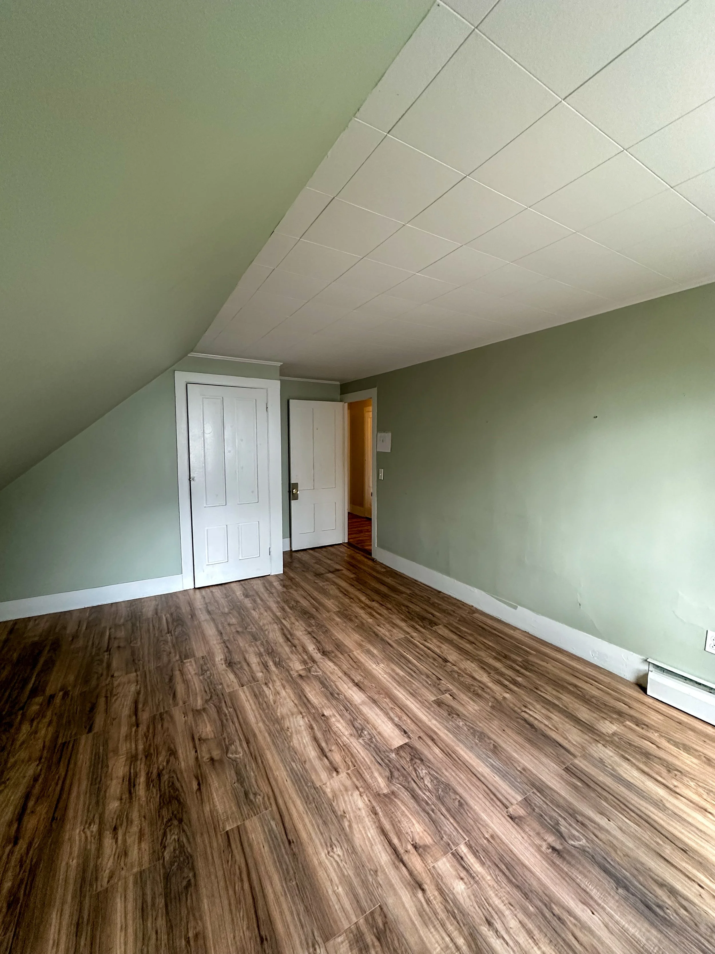 Empty room with green walls, wood floor, small door, and white ceiling