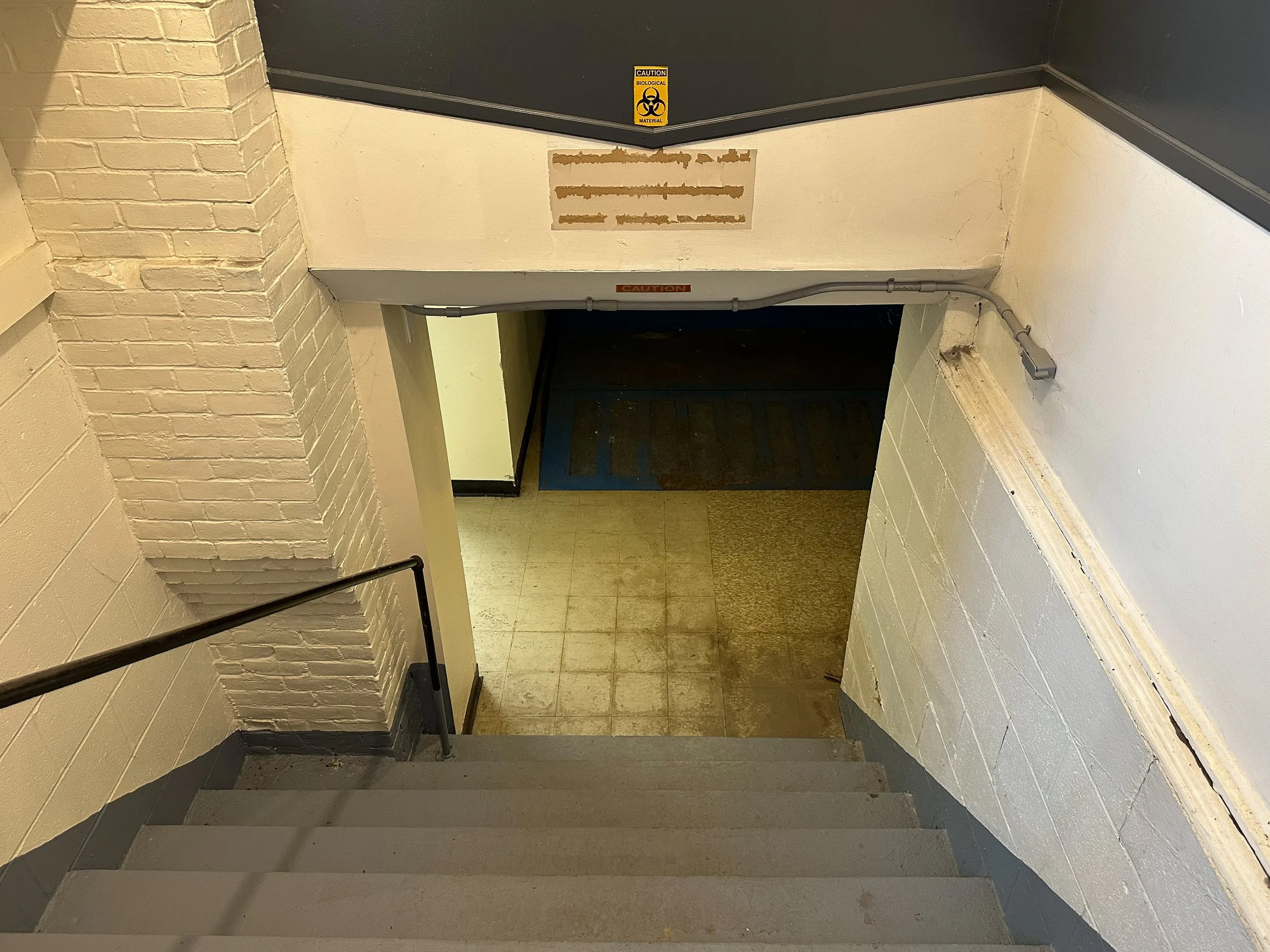 Indoor stairwell with beige brick wall on the left, white painted wall with peeling paint and cracks on the right, dark gray ceiling with yellow biohazard and caution signs indicating biological material, gray pipes running along the ceiling and wall