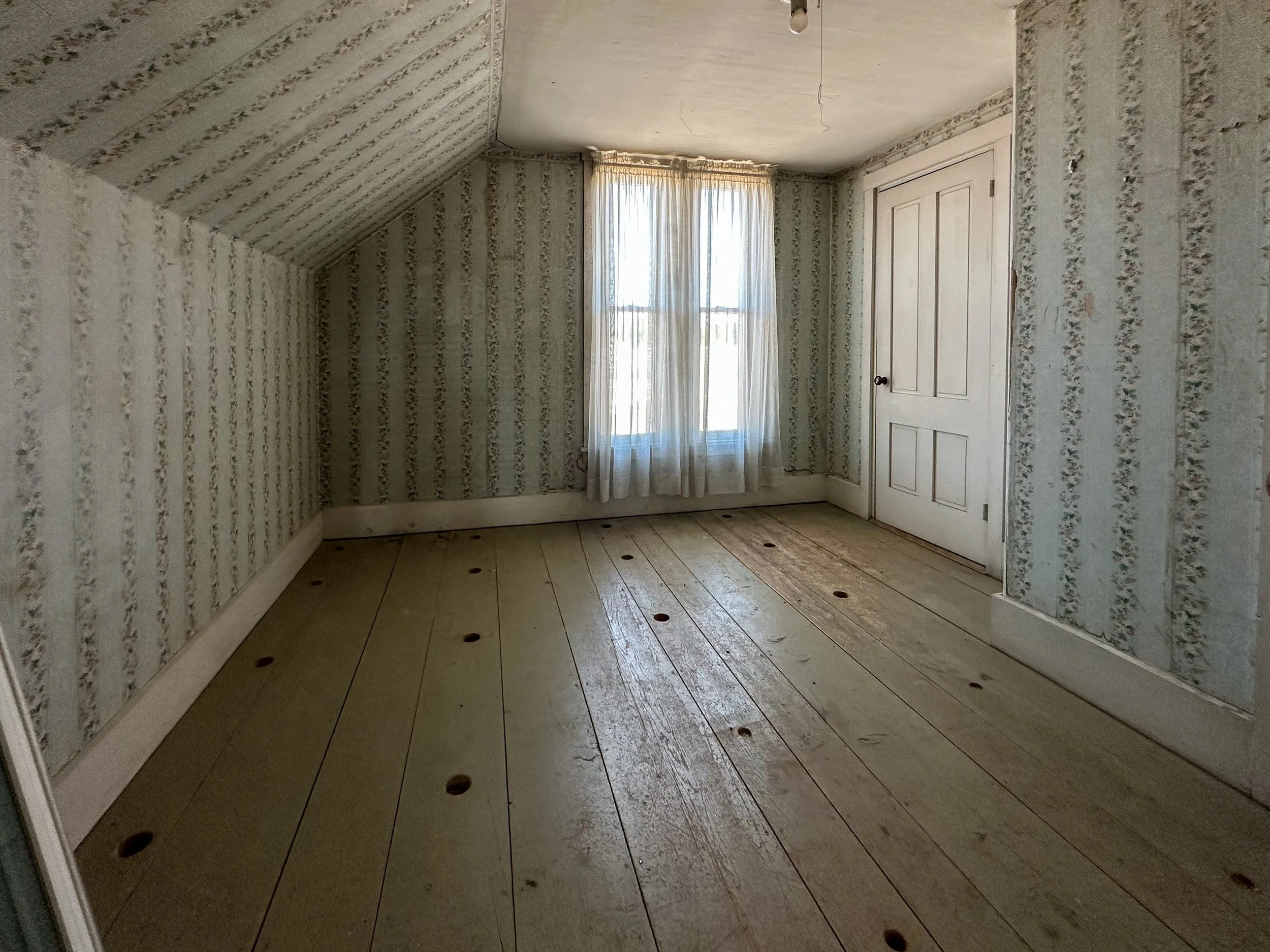 Empty room with wood plank flooring, floral wallpaper, a closed white door, and a window with sheer curtains. The ceiling has exposed wiring and a bare light bulb.