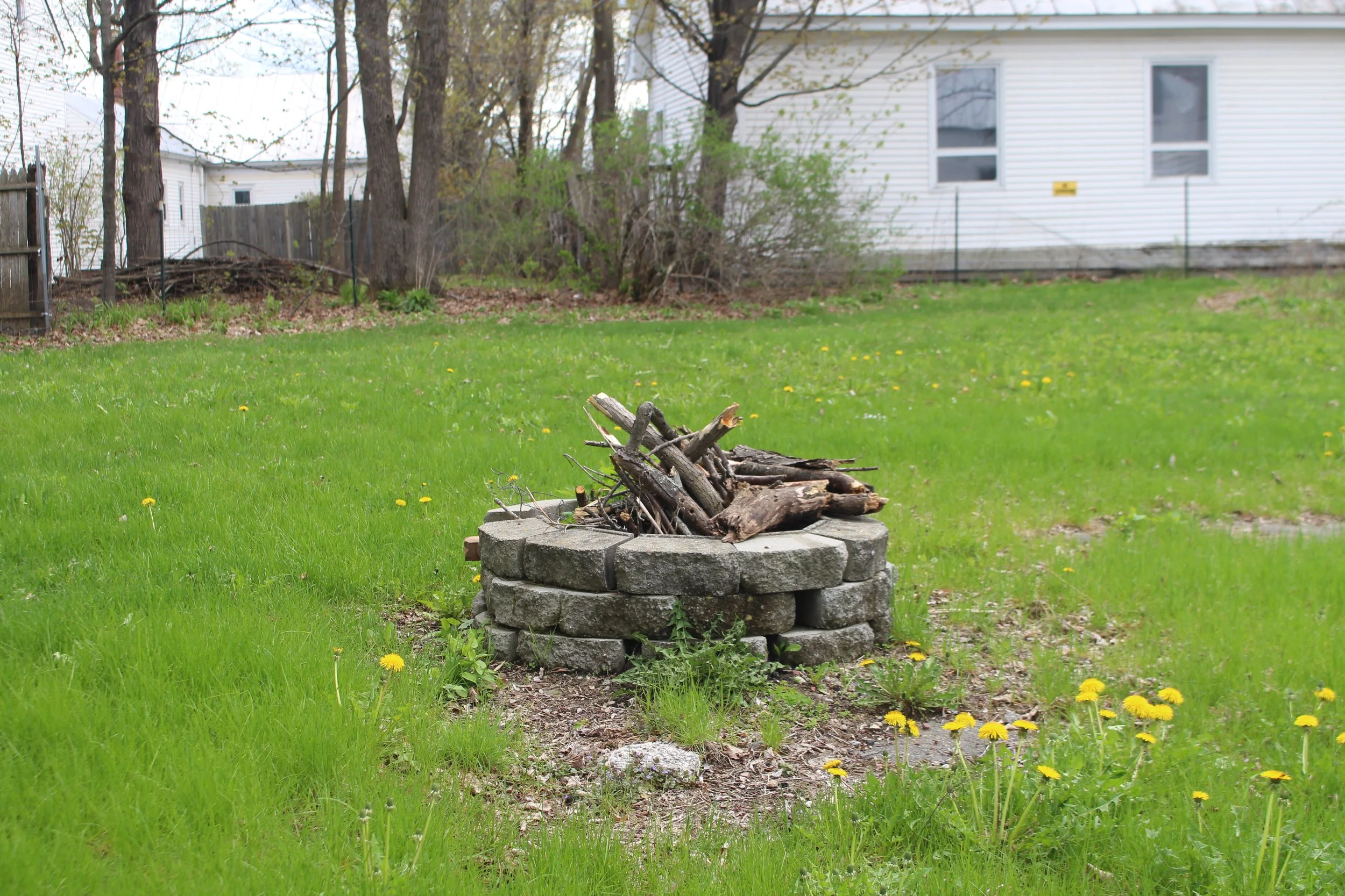 A backyard with a stone fire pit filled with logs, surrounded by green grass and yellow dandelions, with trees and a white house in the background.