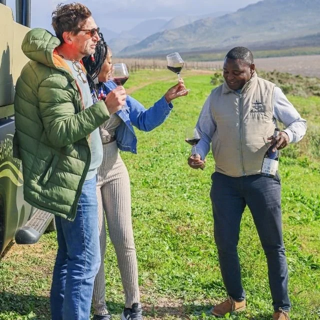 Vineyard-Safari.jpg