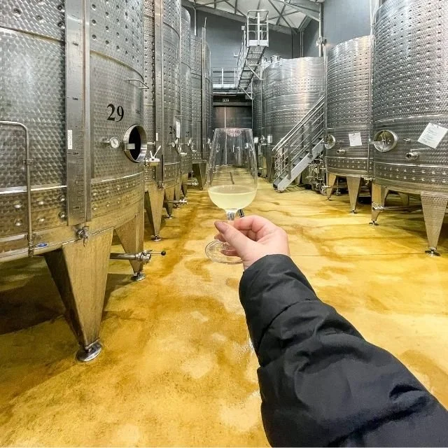Cellar-Tour-Benguela-Cove.jpg