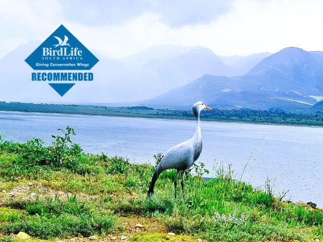 Benguela Cove and BirdLife SA