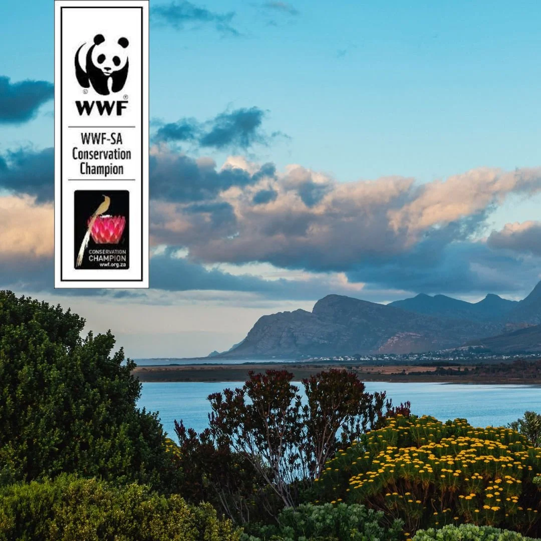 Benguela Cove #followthesugarbird